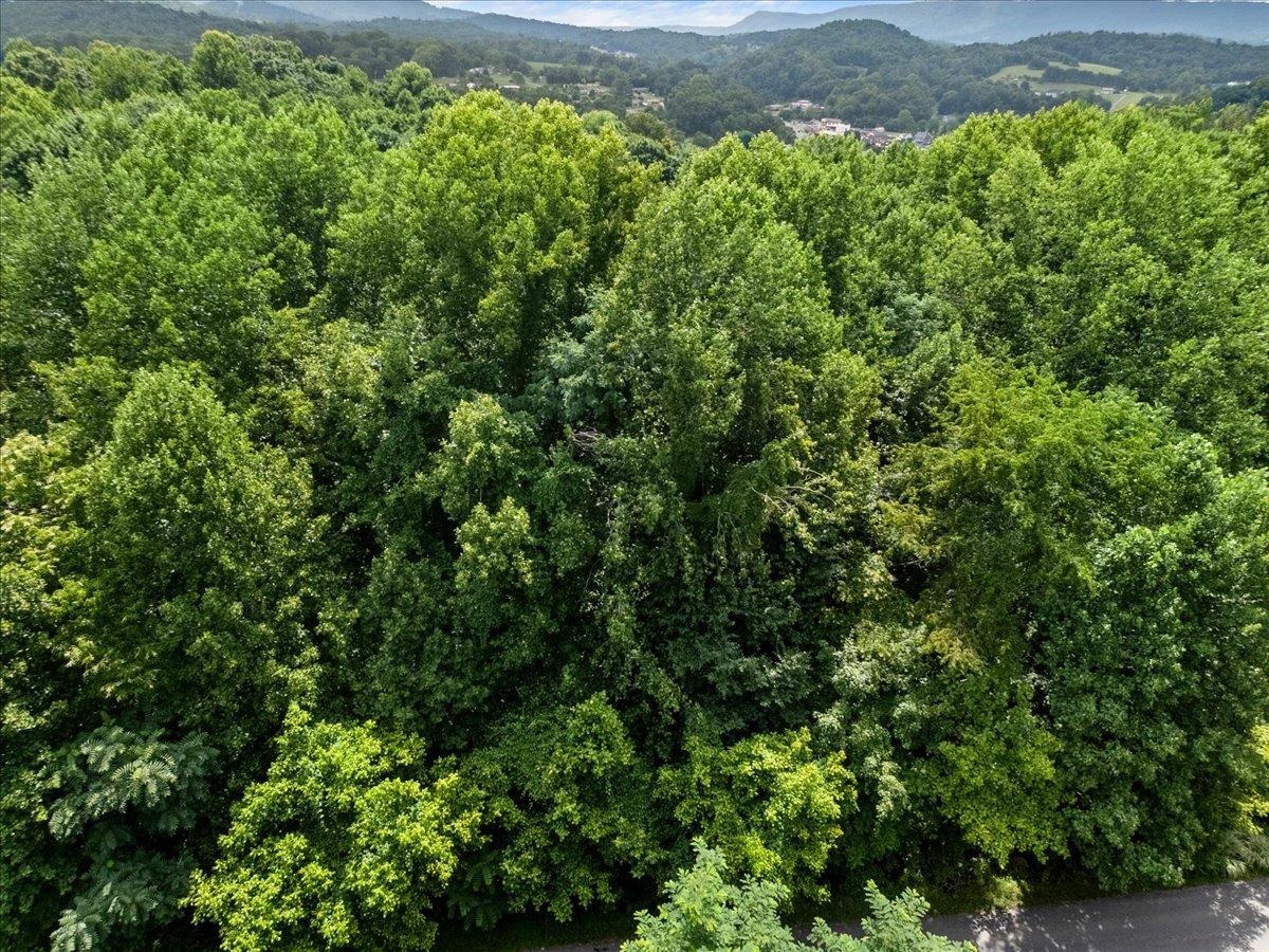 Tbd Orchard Drive Pembroke VA 24136