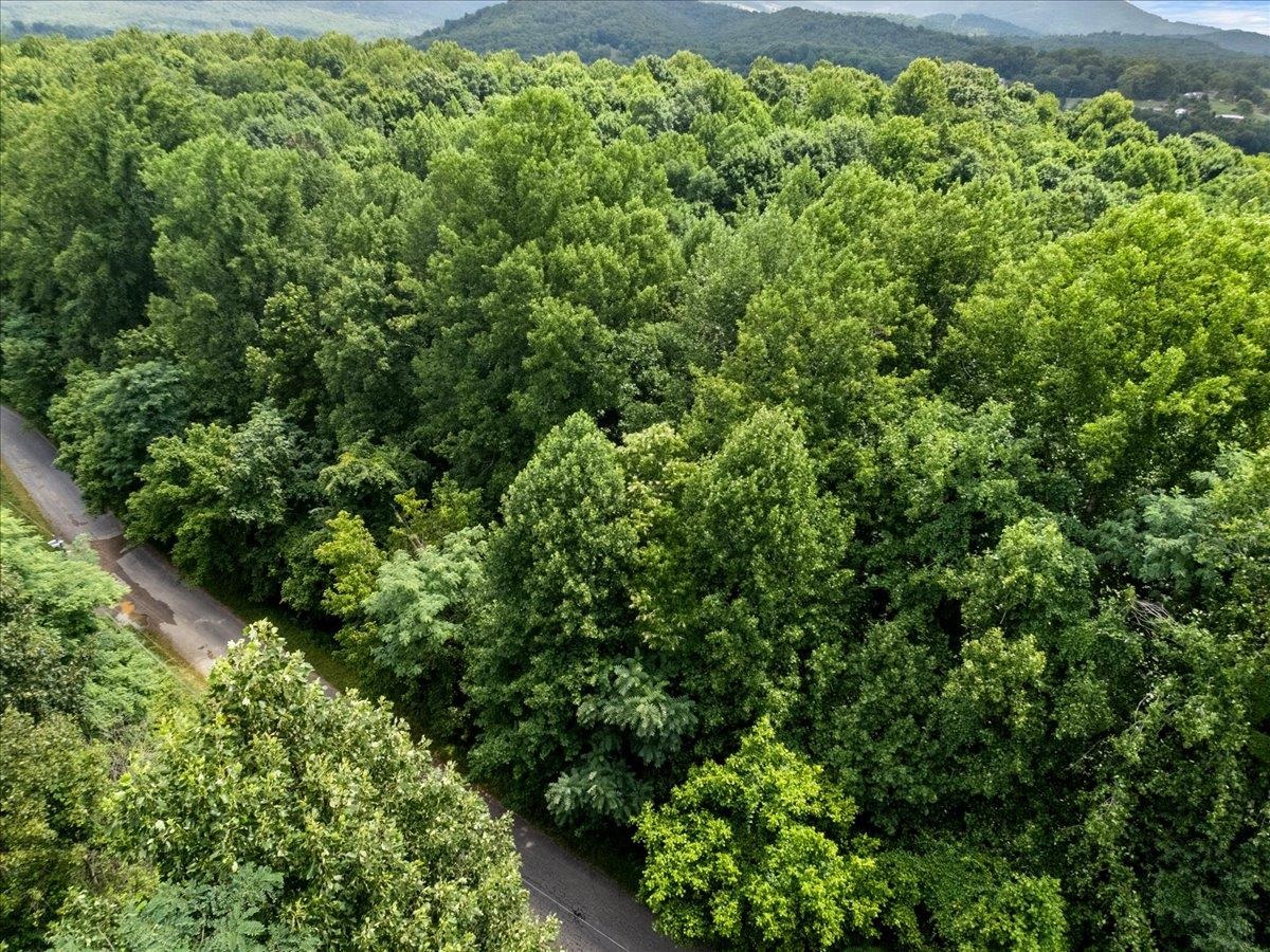 Tbd Orchard Drive Pembroke VA 24136