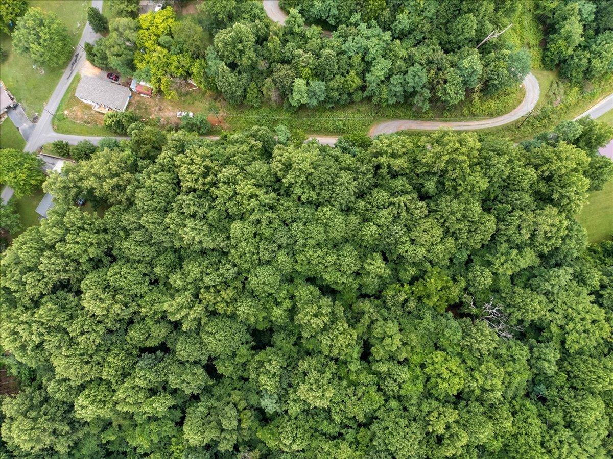 Tbd Orchard Drive Pembroke VA 24136
