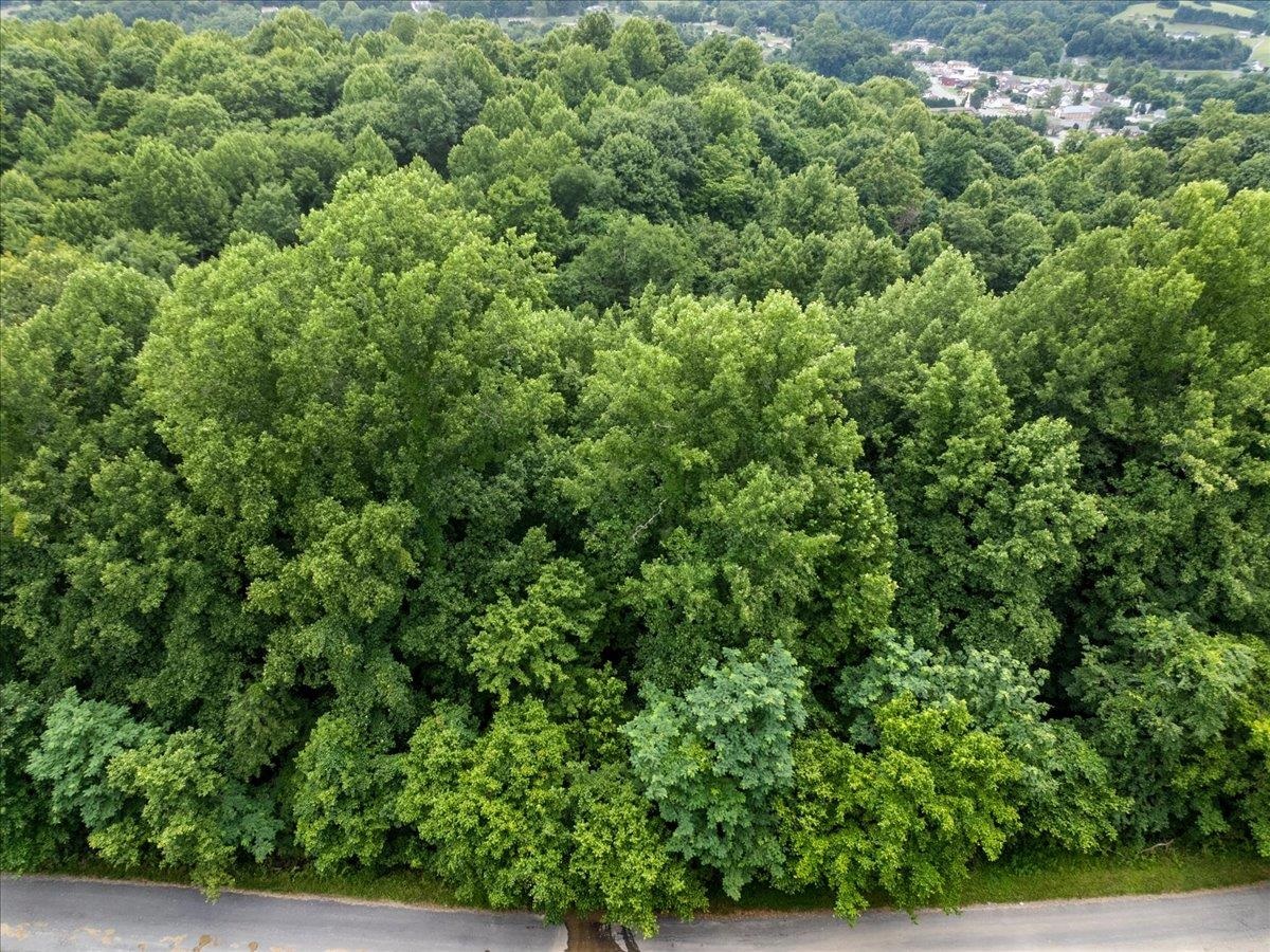 Tbd Orchard Drive Pembroke VA 24136