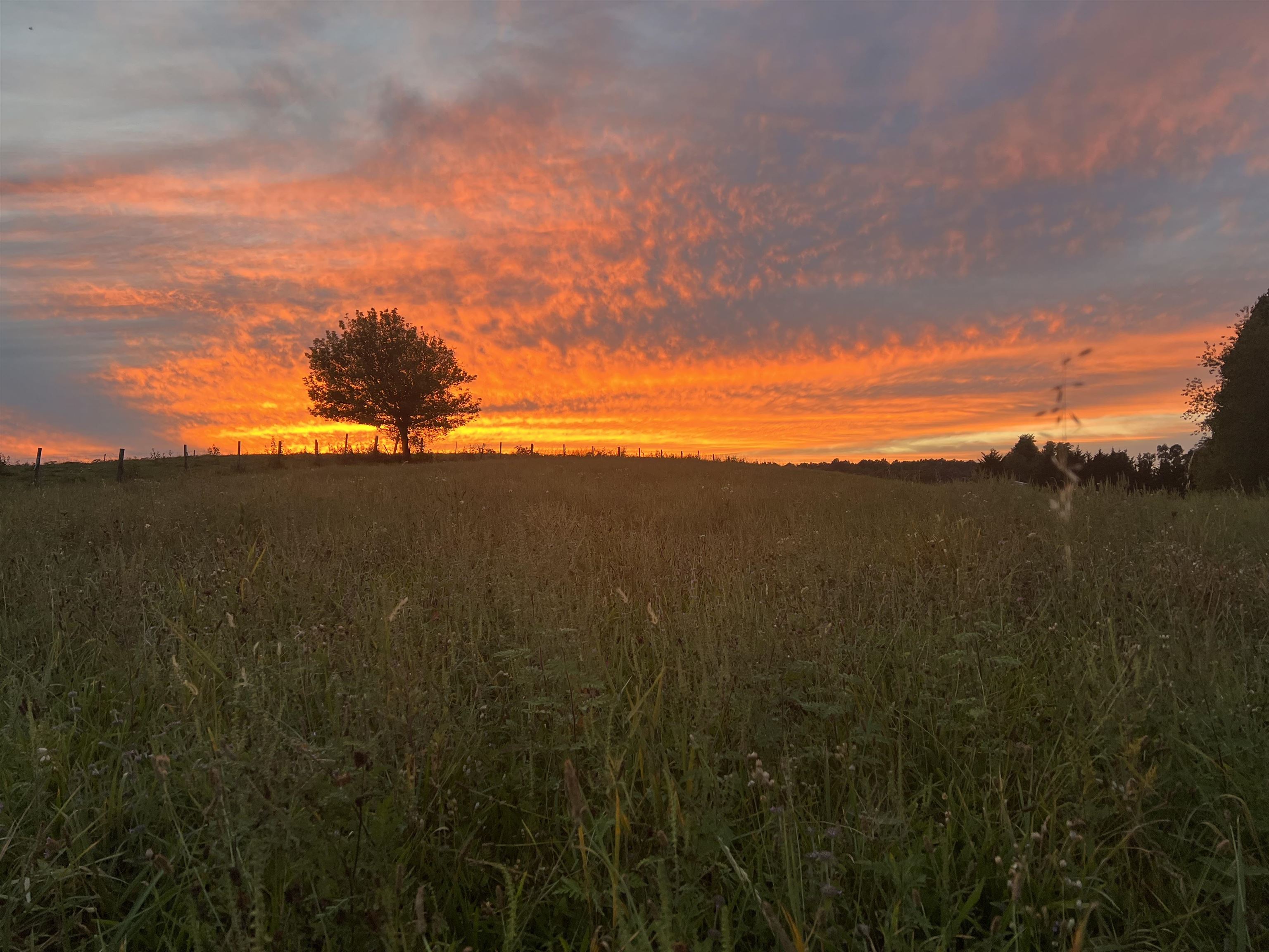 Tbd Pinnacle Lane Meadows Of Dan VA 24120