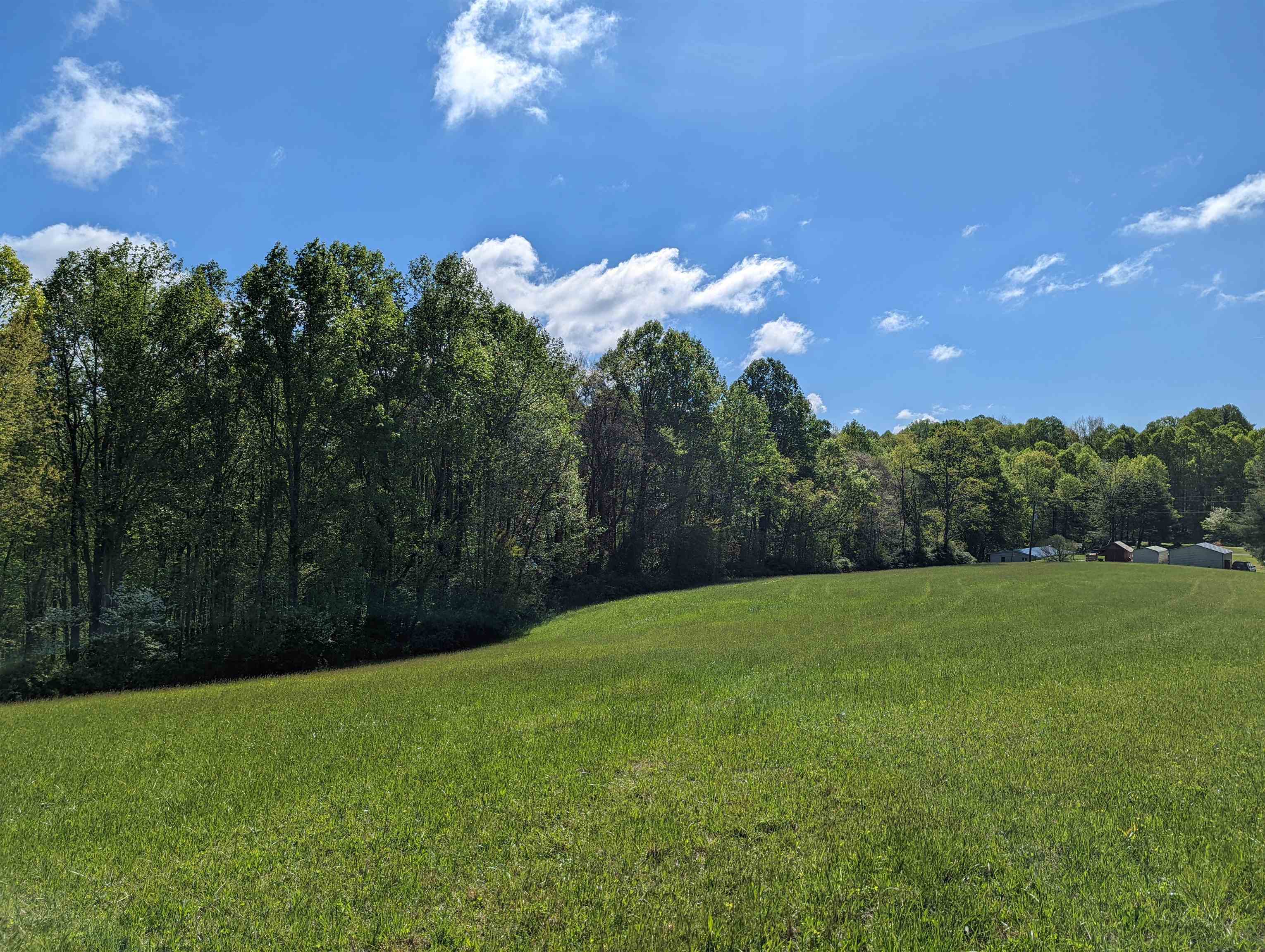 Tbd Pinnacle Lane Meadows Of Dan VA 24120