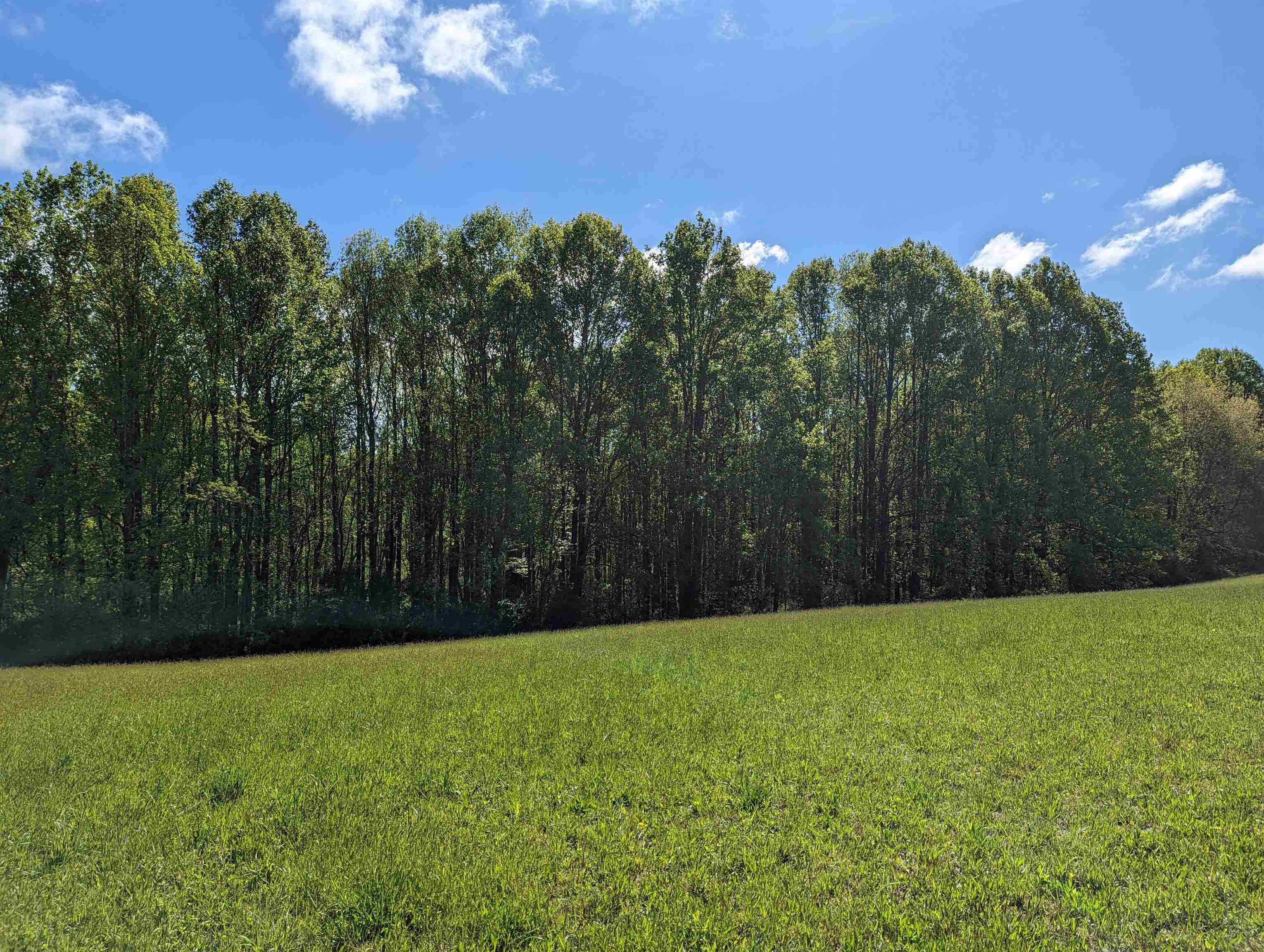 Tbd Pinnacle Lane Meadows Of Dan VA 24120