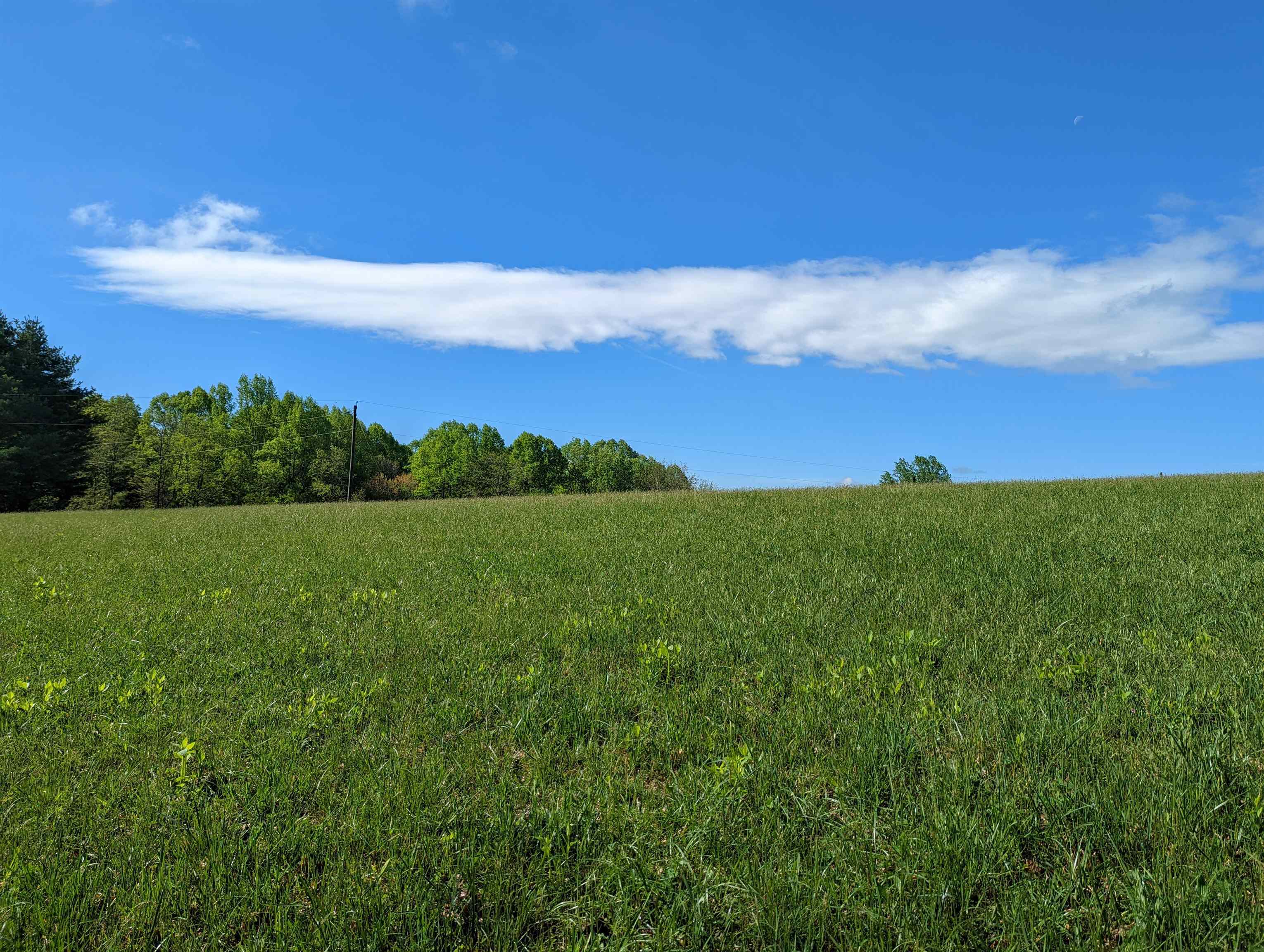 Tbd Pinnacle Lane Meadows Of Dan VA 24120