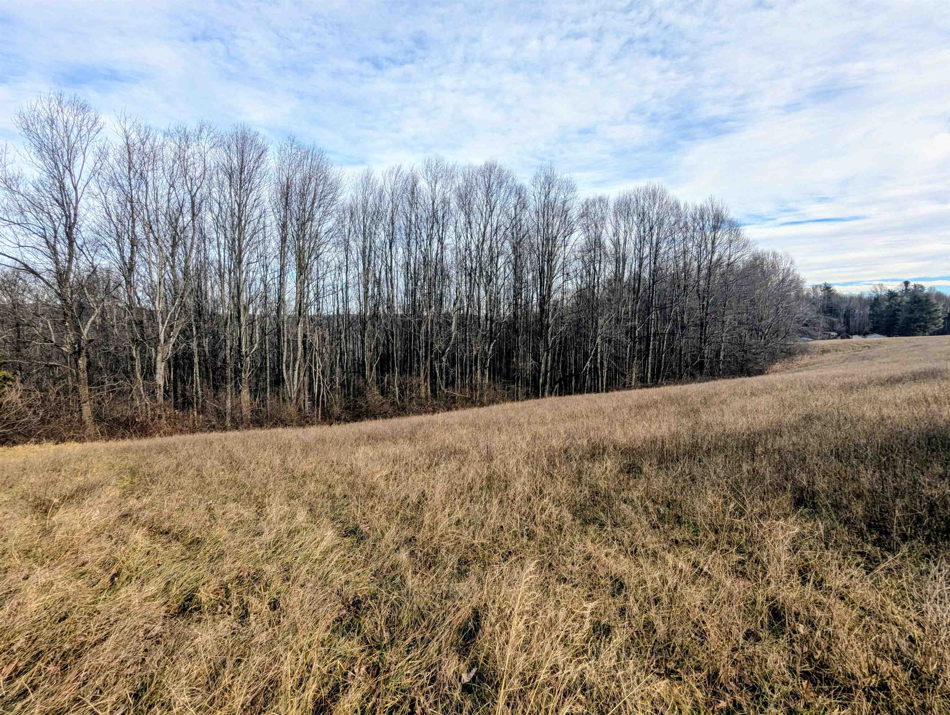 Tbd Pinnacle Lane Meadows Of Dan VA 24120