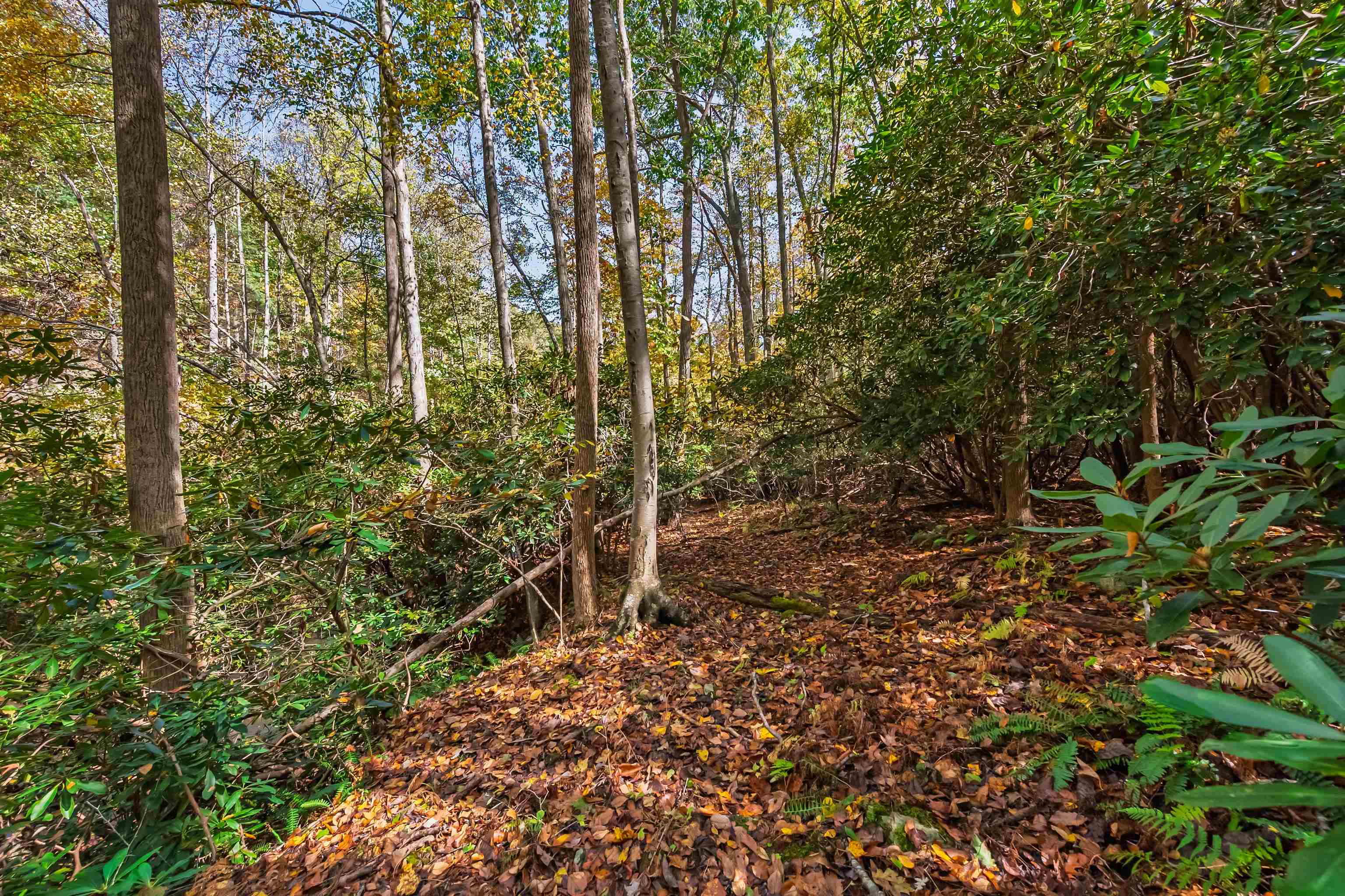 Tbd Elk Creek Parkway Independence VA 24348