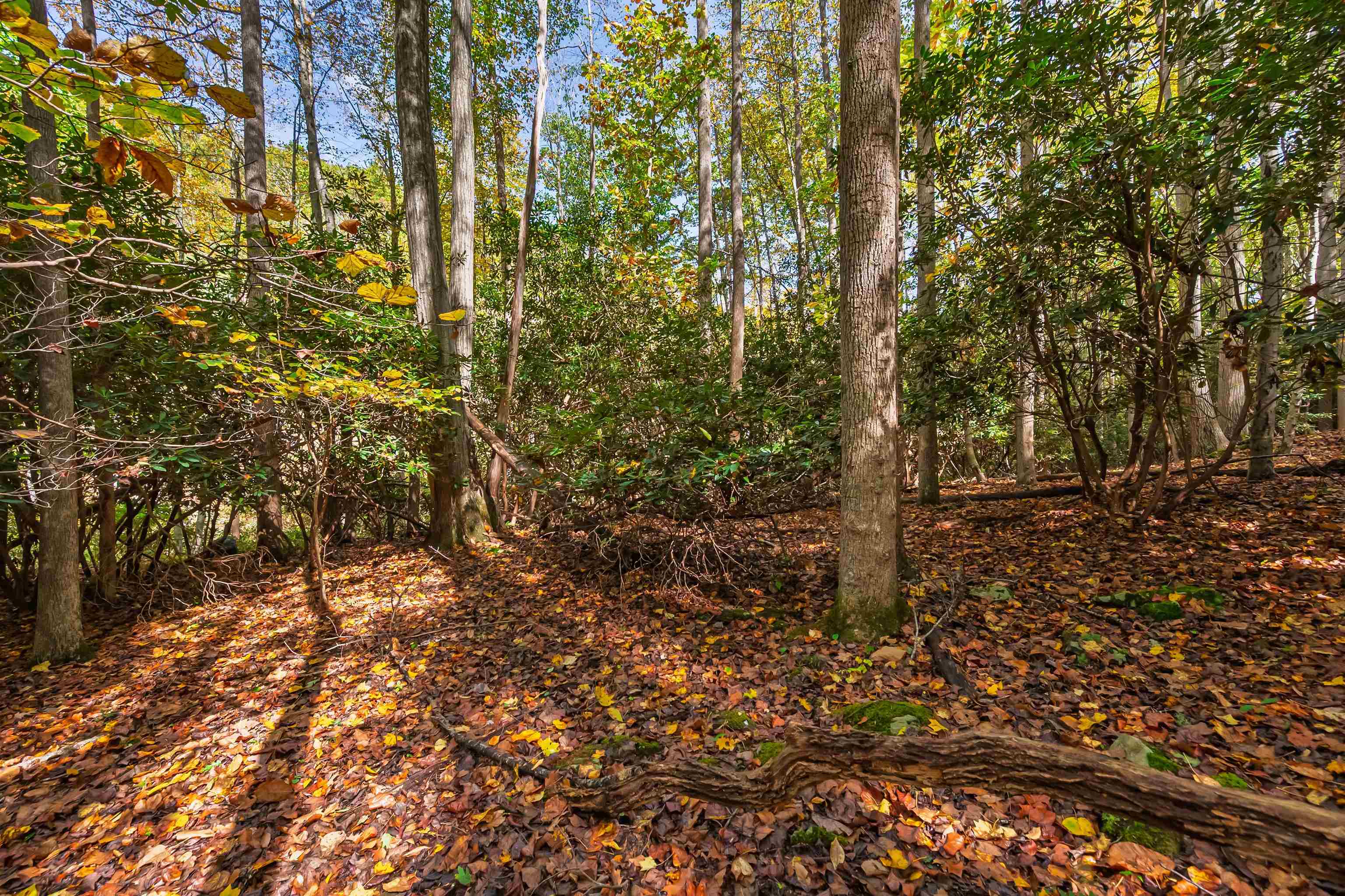 Tbd Elk Creek Parkway Independence VA 24348