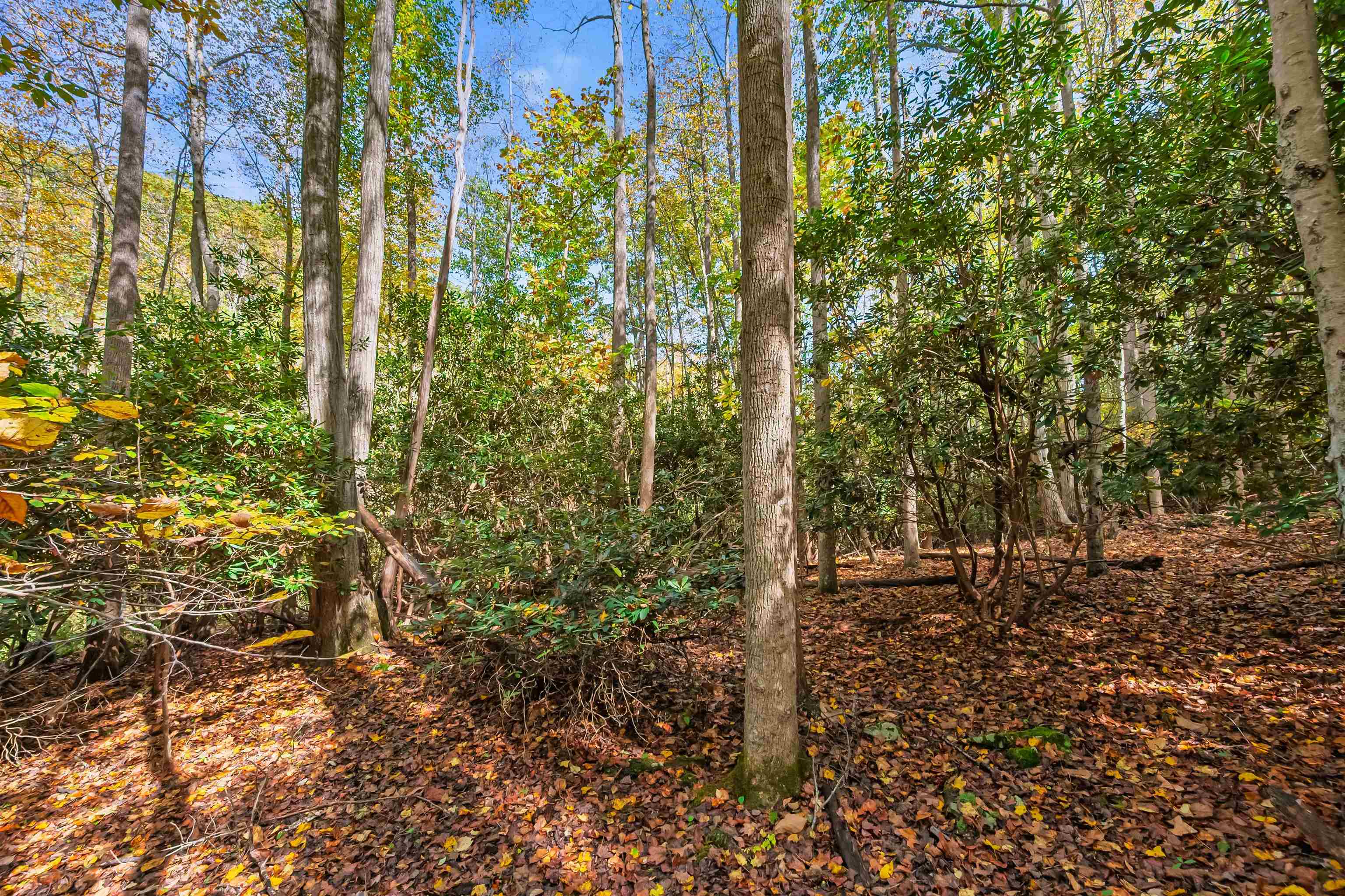 Tbd Elk Creek Parkway Independence VA 24348