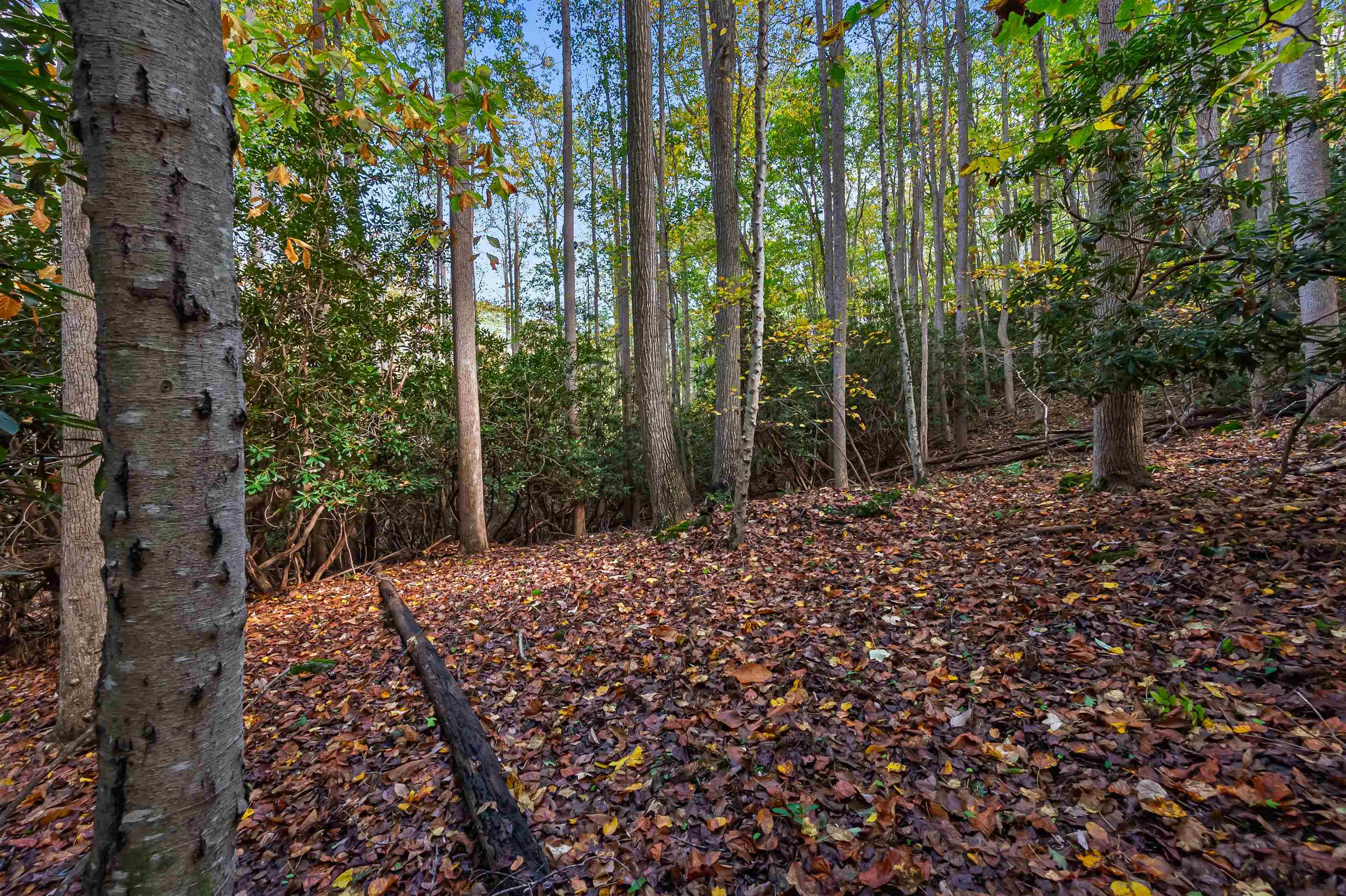 Tbd Elk Creek Parkway Independence VA 24348