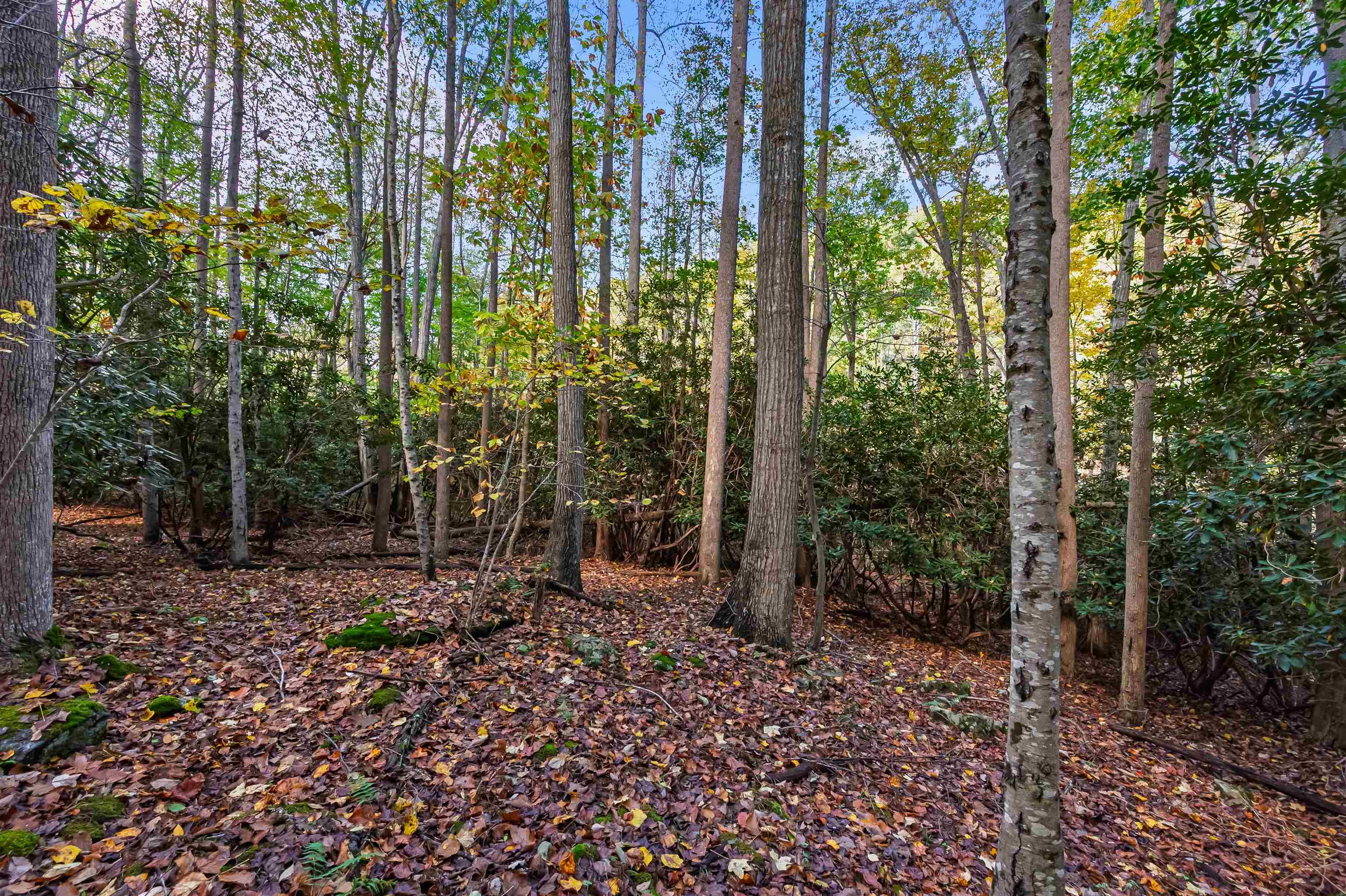 Tbd Elk Creek Parkway Independence VA 24348