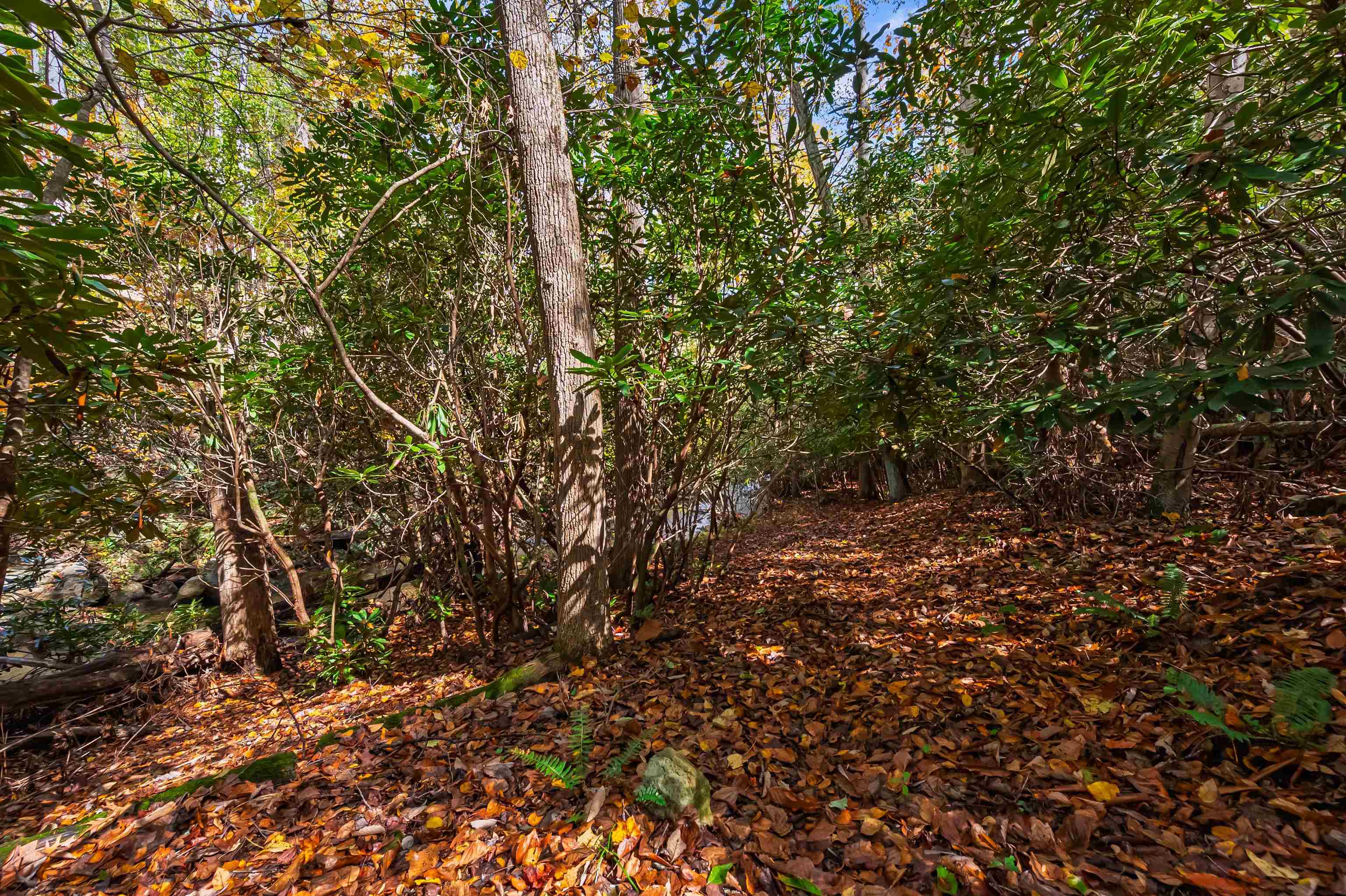 Tbd Elk Creek Parkway Independence VA 24348