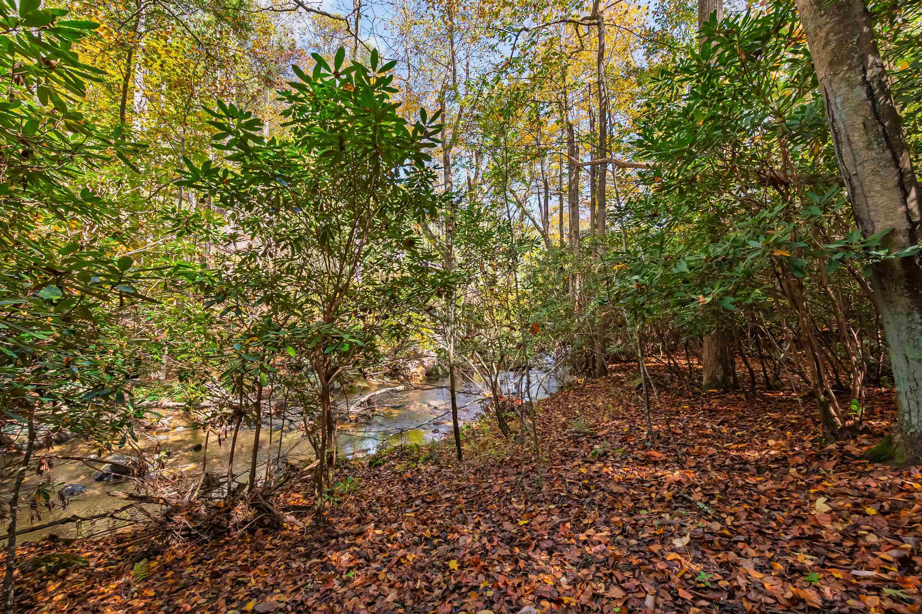 Tbd Elk Creek Parkway Independence VA 24348