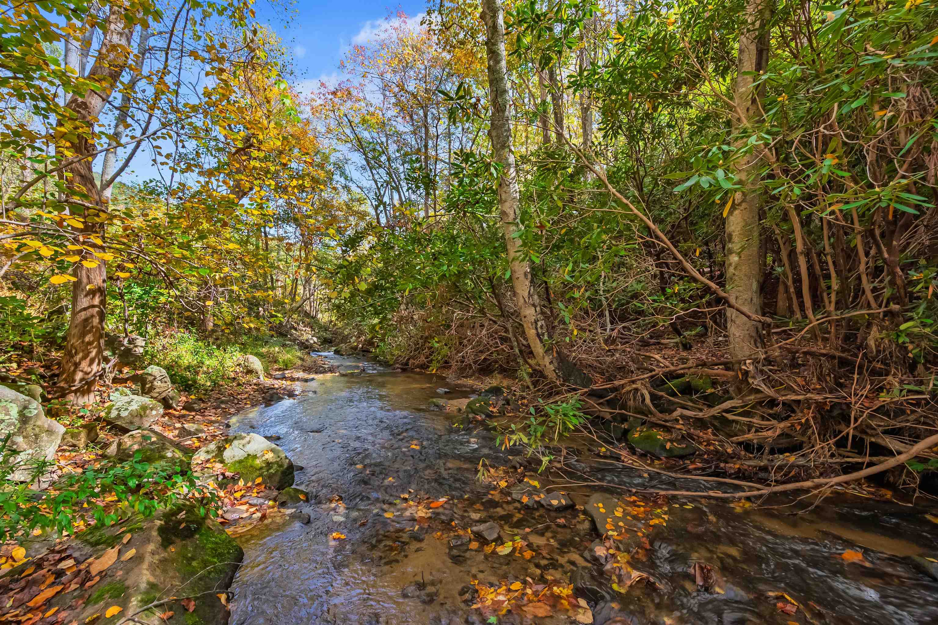 Tbd Elk Creek Parkway Independence VA 24348