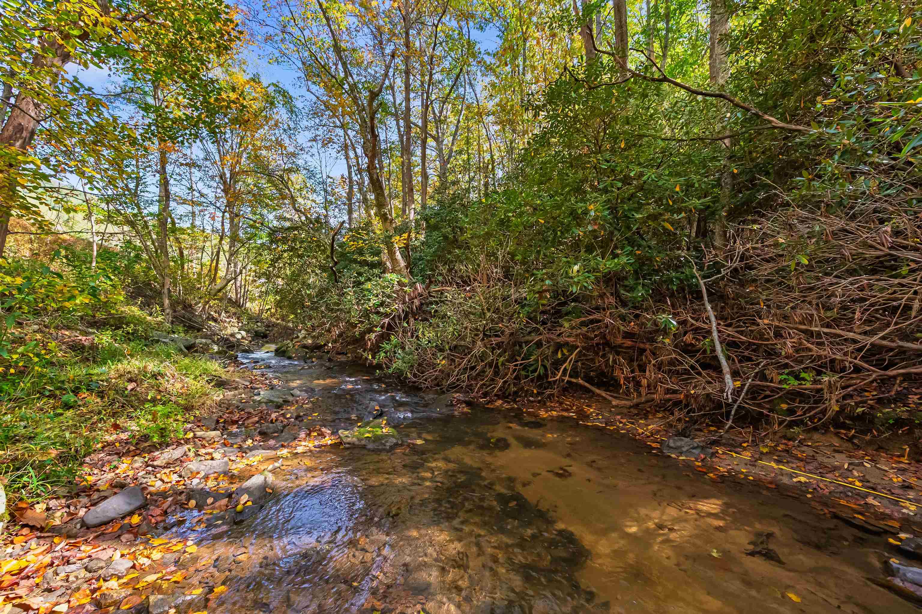 Tbd Elk Creek Parkway Independence VA 24348