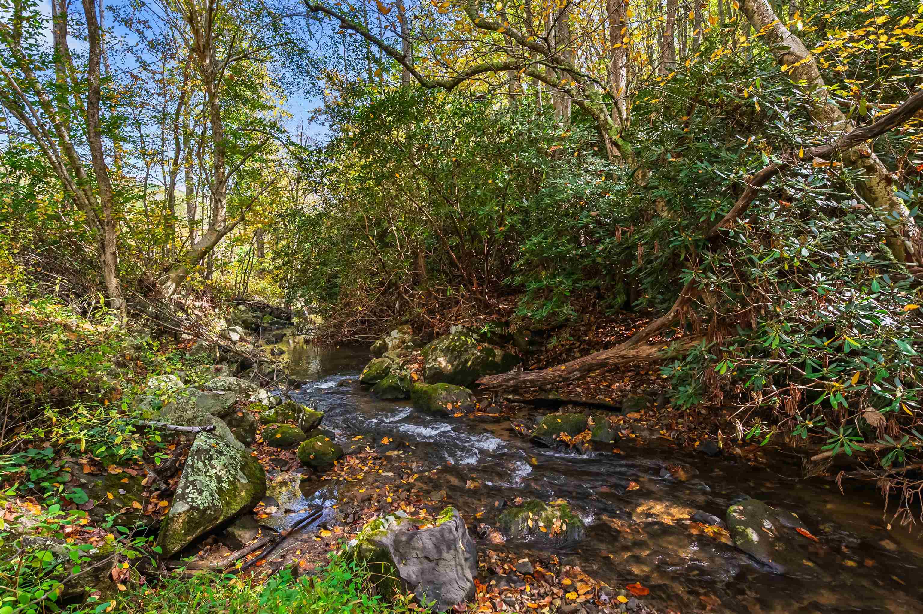 Tbd Elk Creek Parkway Independence VA 24348