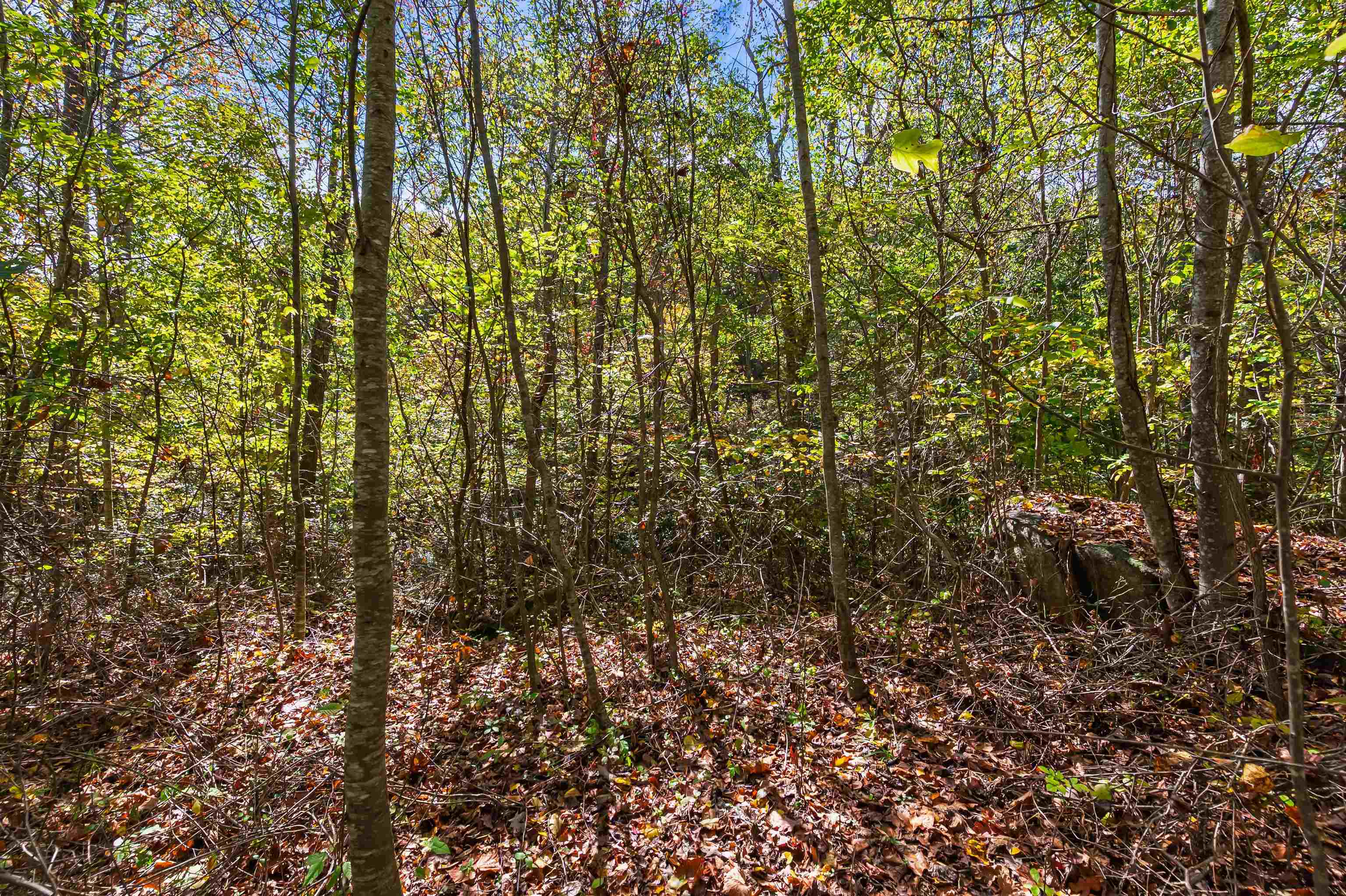 Tbd Elk Creek Parkway Independence VA 24348