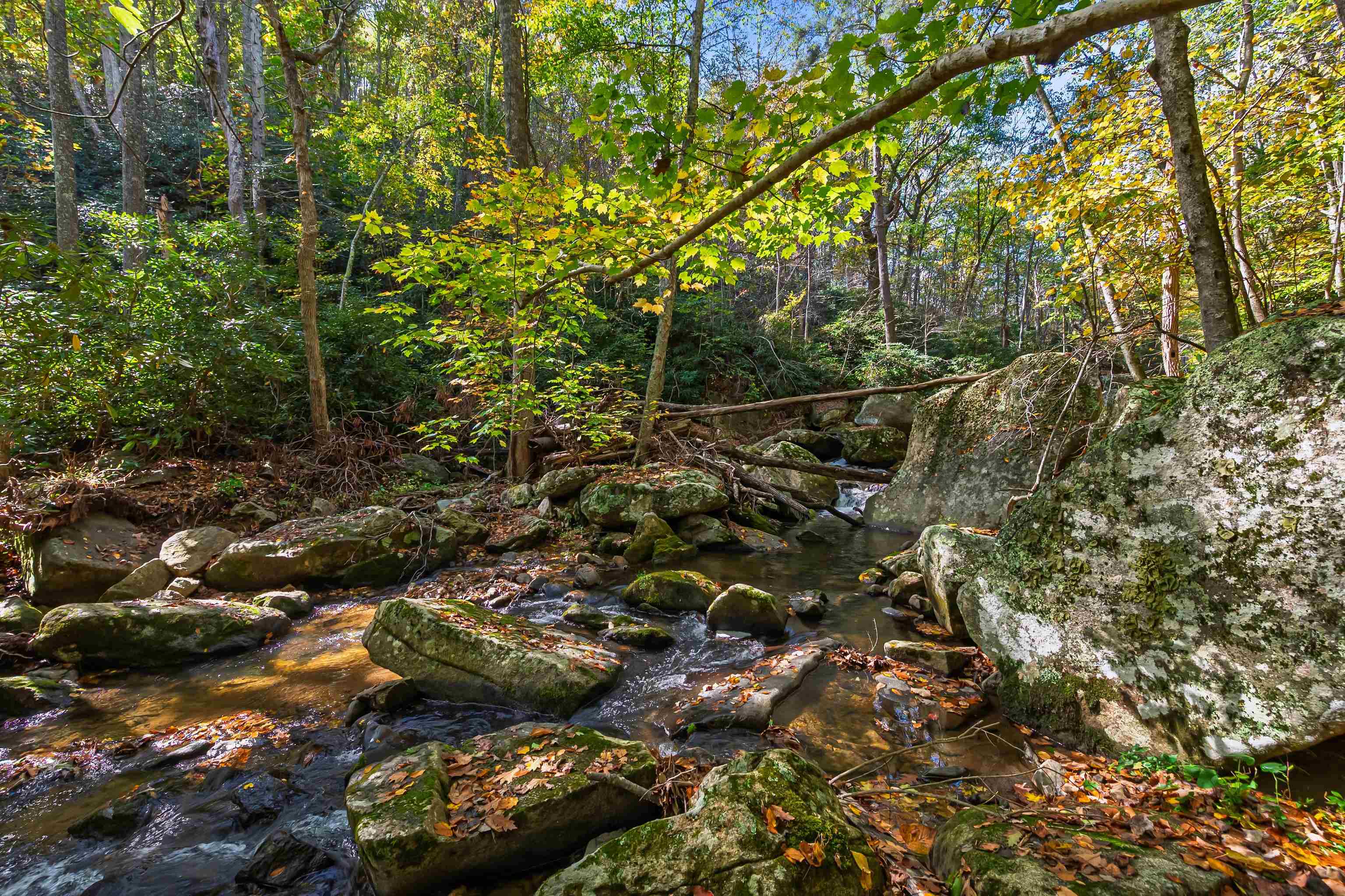 Tbd Elk Creek Parkway Independence VA 24348