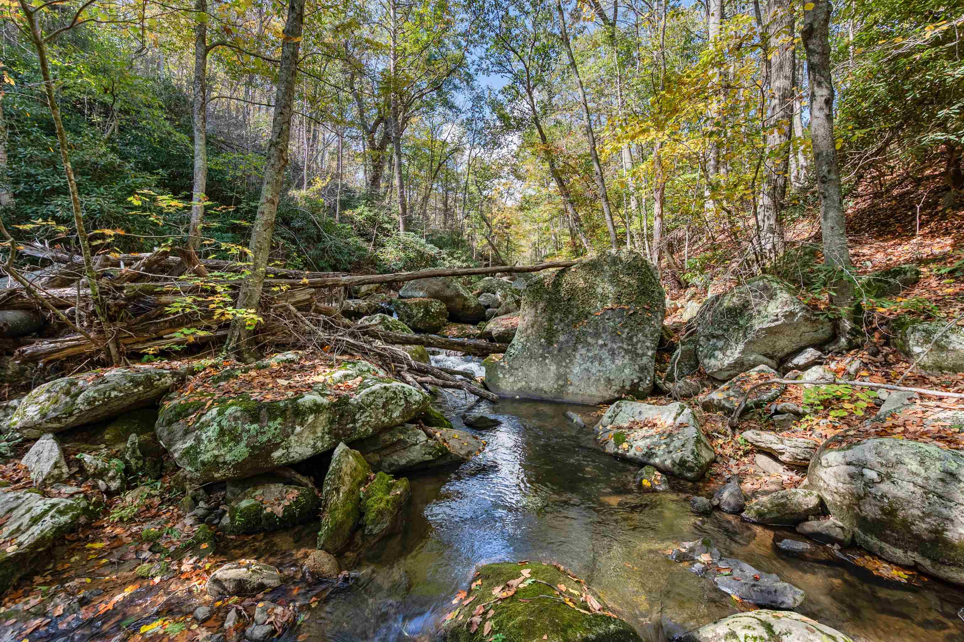 Tbd Elk Creek Parkway Independence VA 24348