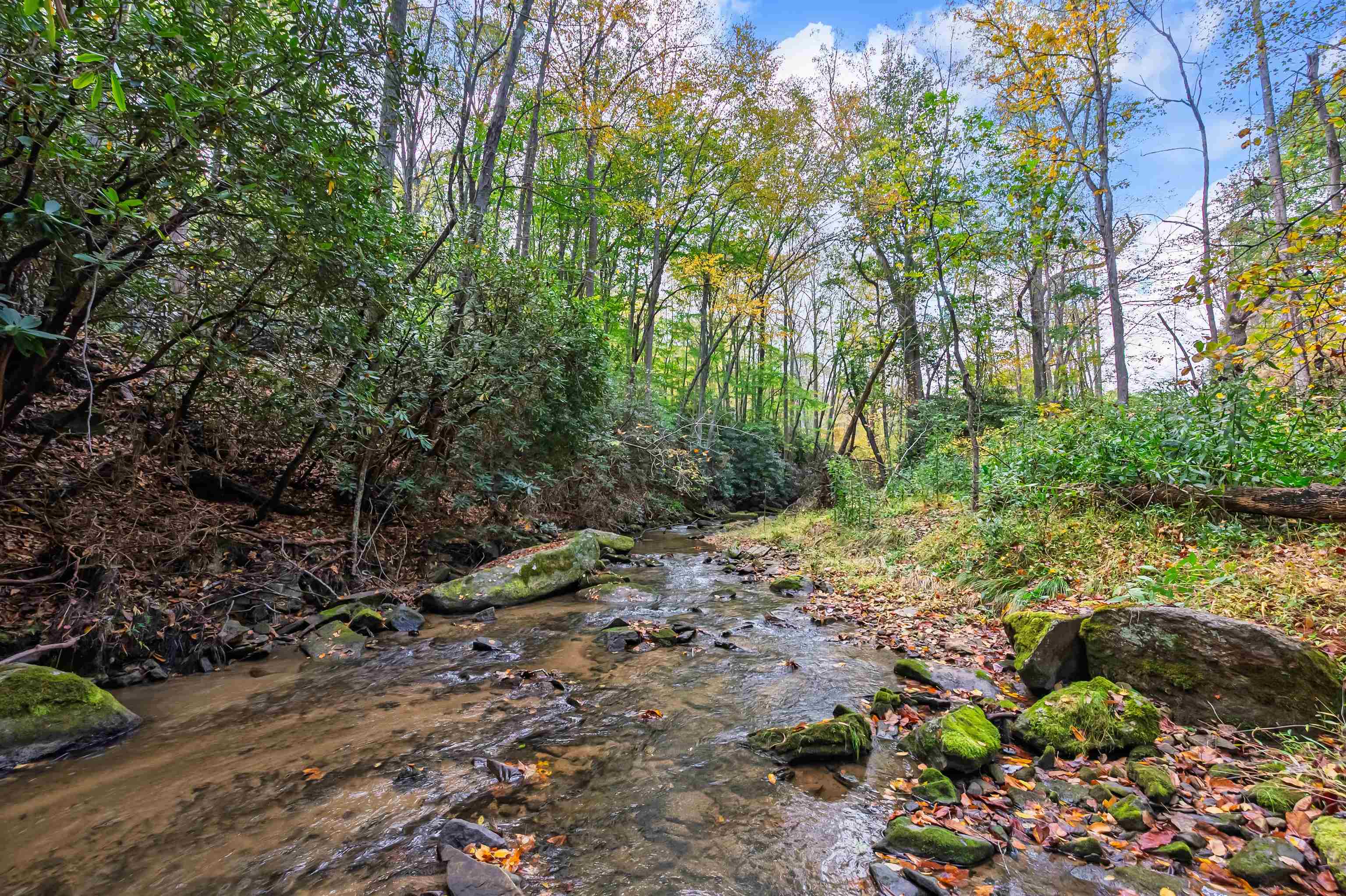 Tbd Elk Creek Parkway Independence VA 24348