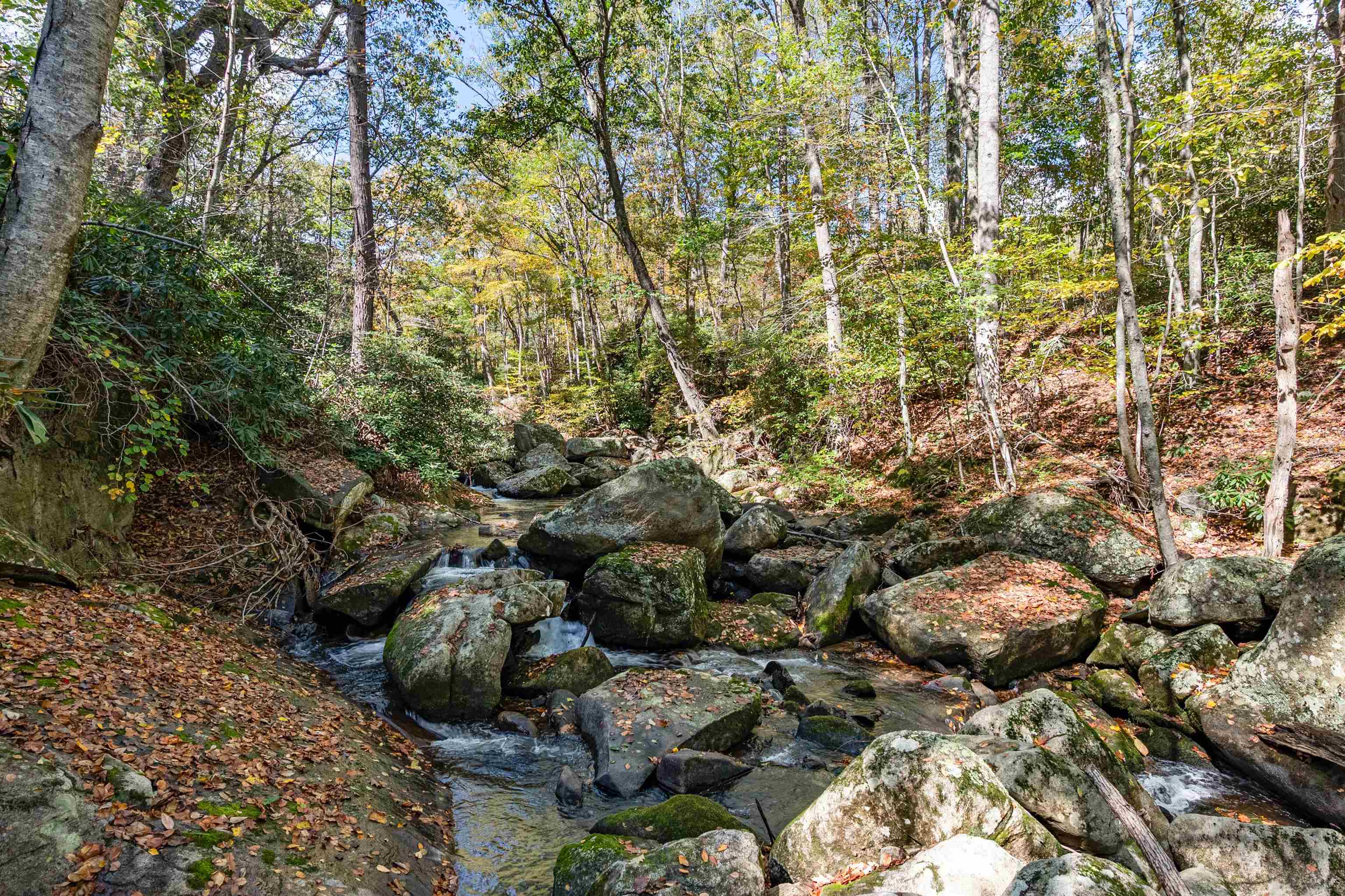 Tbd Elk Creek Parkway Independence VA 24348