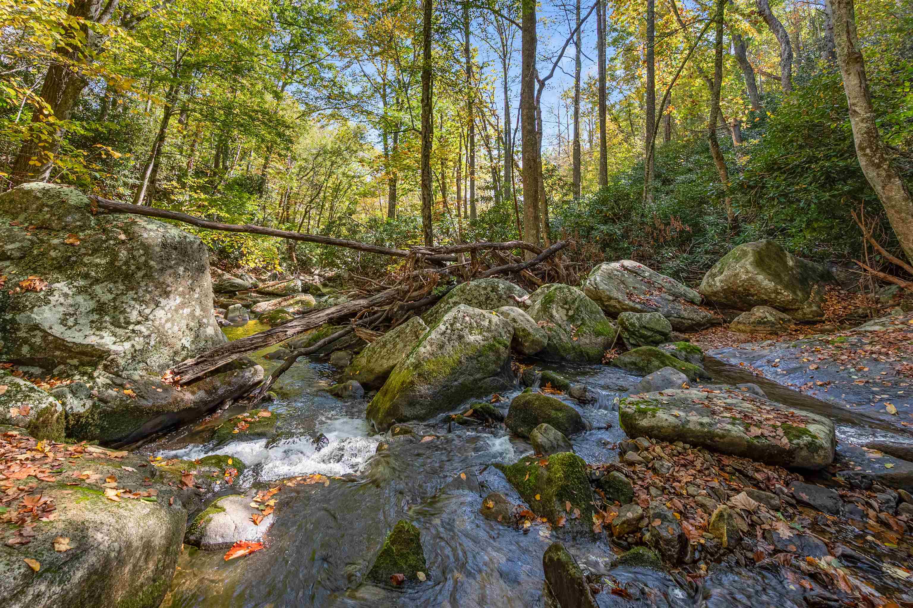 Tbd Elk Creek Parkway Independence VA 24348