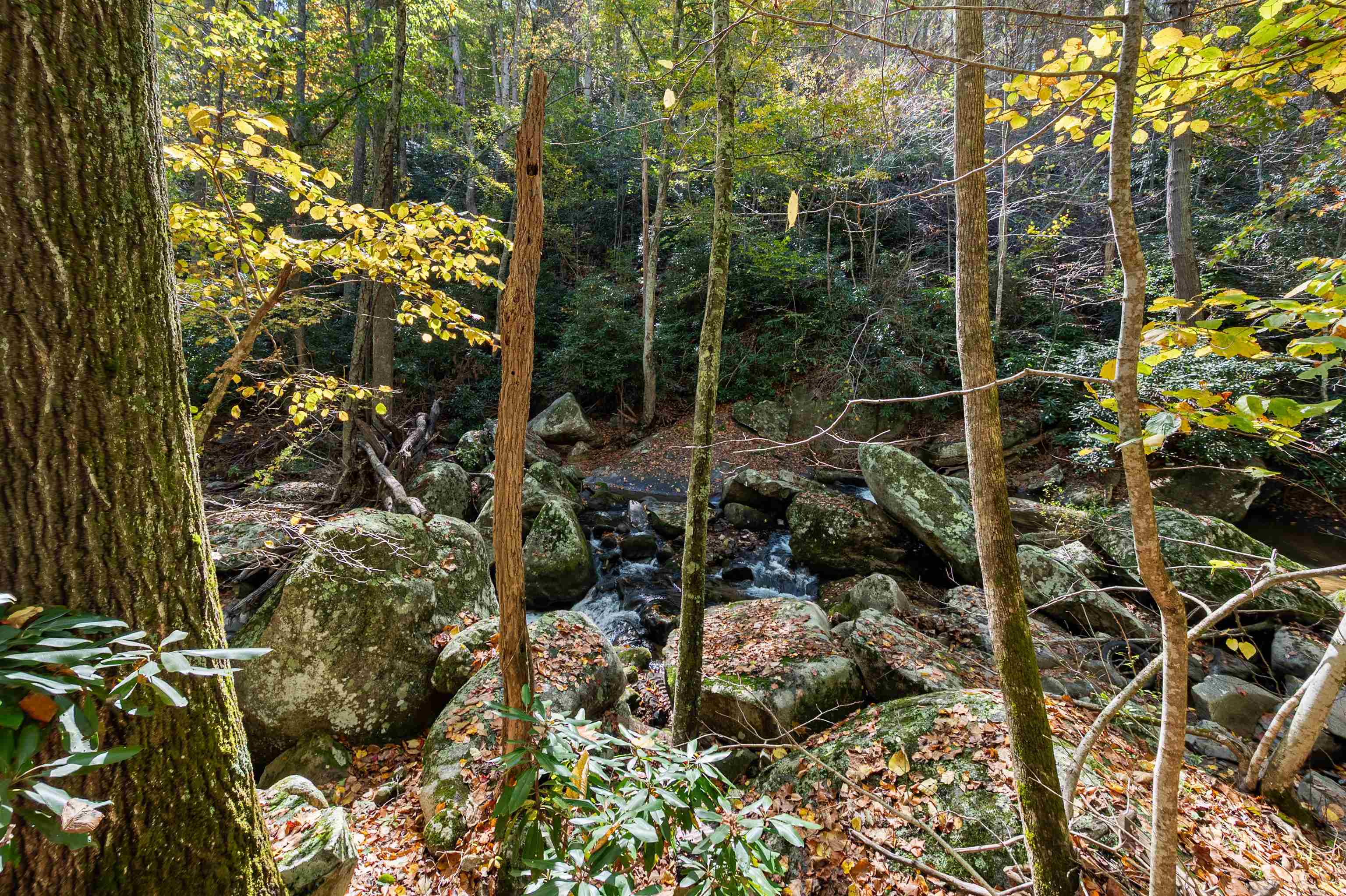 Tbd Elk Creek Parkway Independence VA 24348