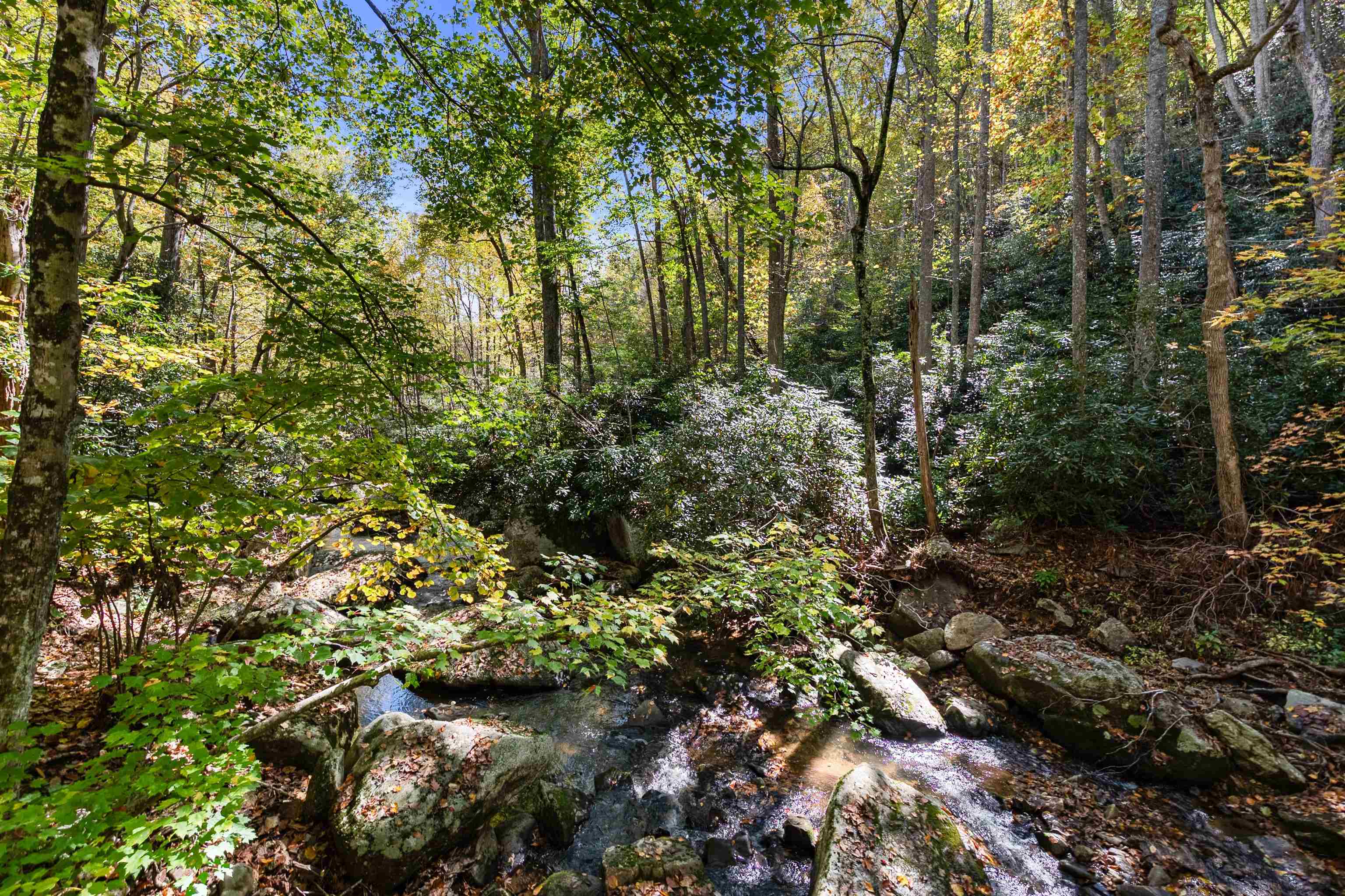 Tbd Elk Creek Parkway Independence VA 24348