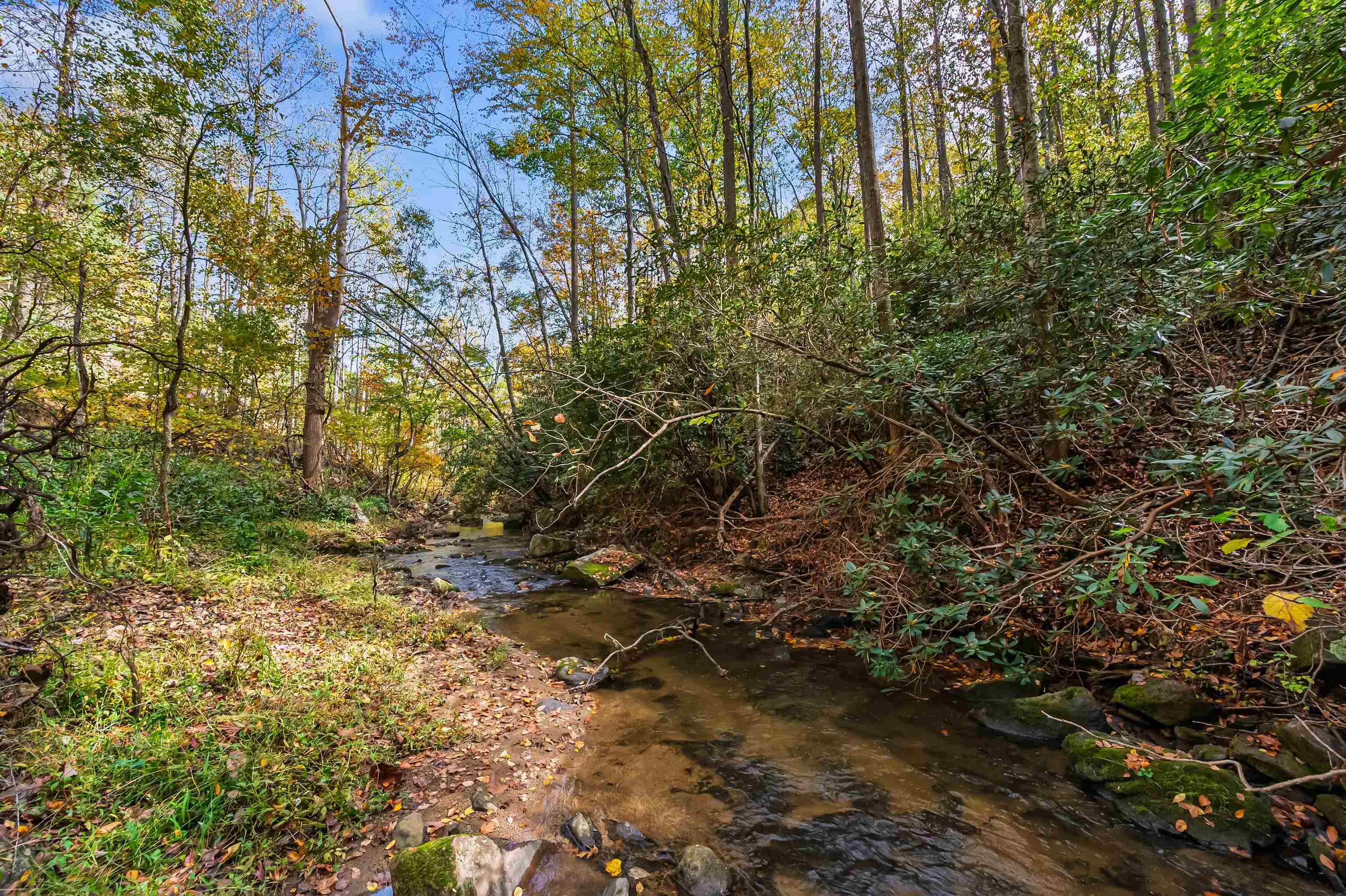 Tbd Elk Creek Parkway Independence VA 24348