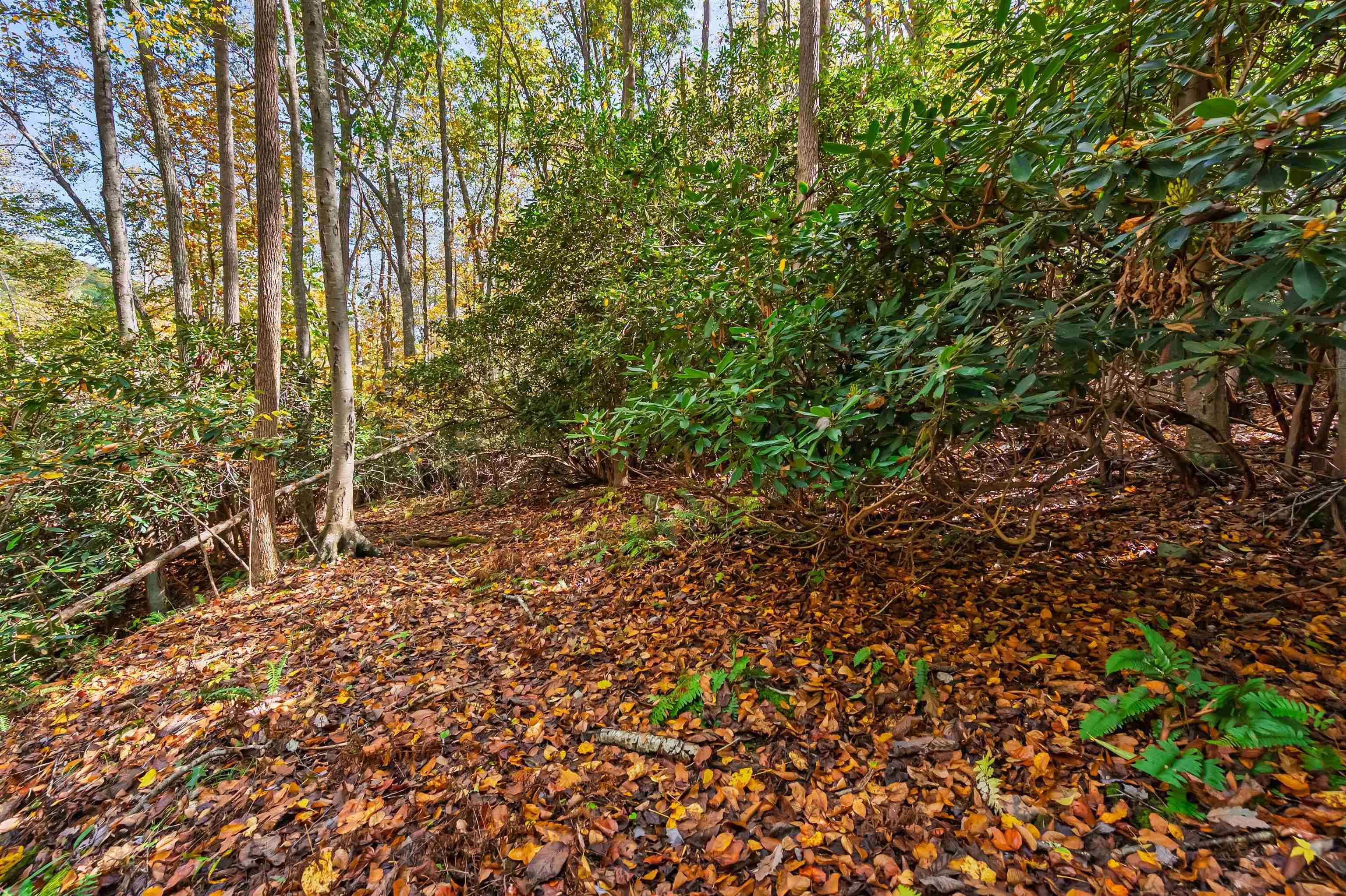 Tbd Elk Creek Parkway Independence VA 24348