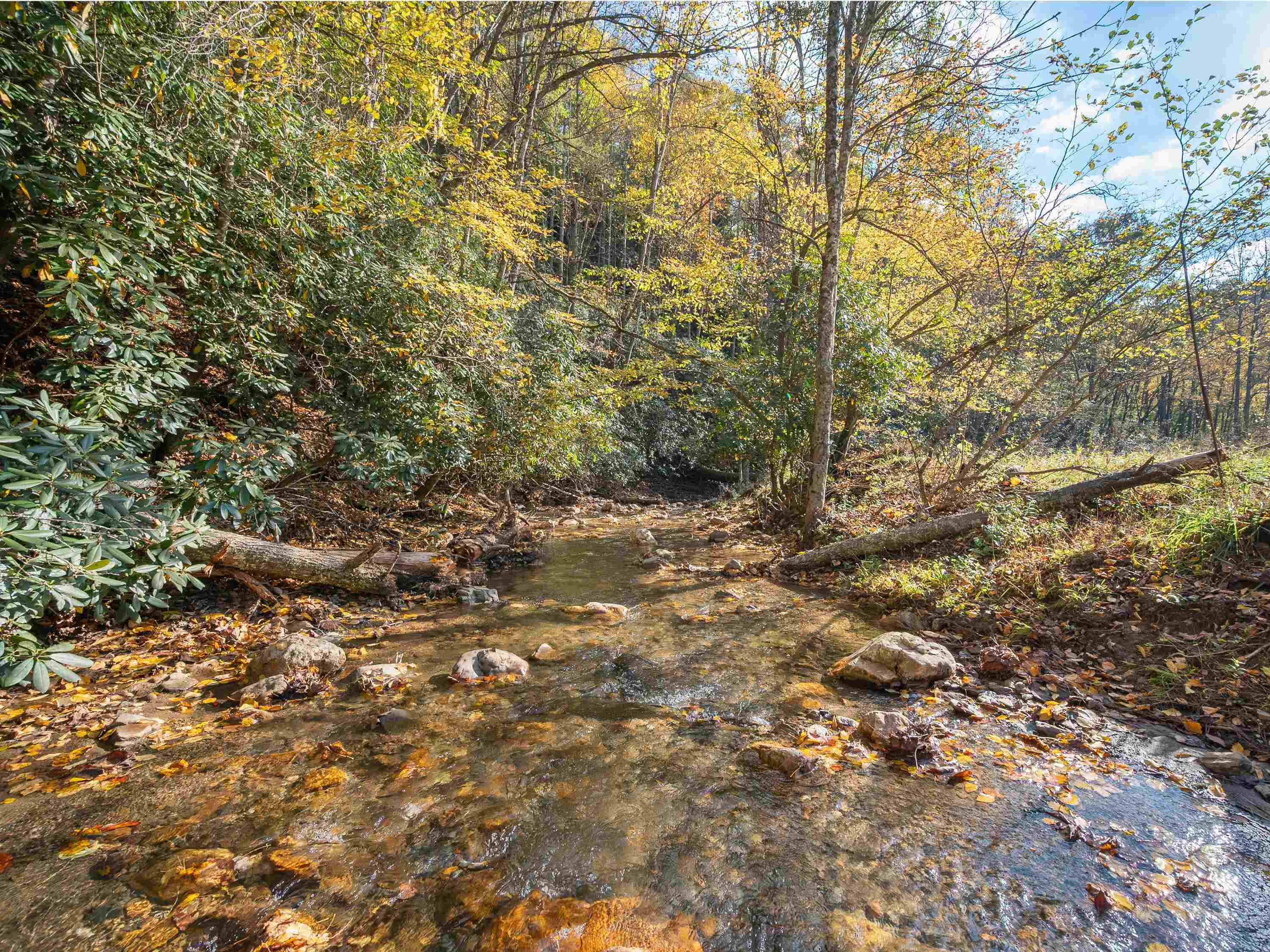 Tbd Deepwater Road Dugspur VA 24325