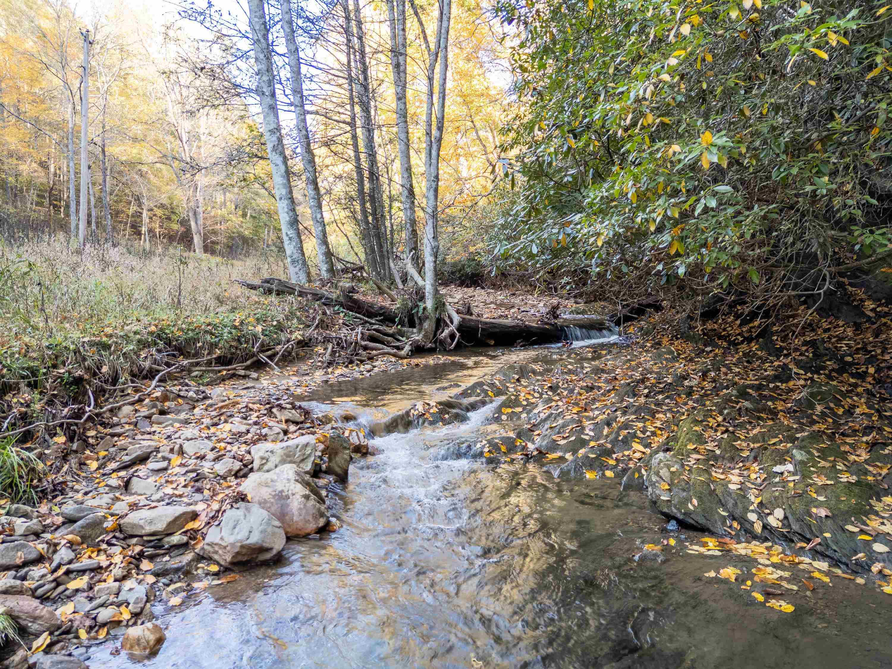 Tbd Deepwater Road Dugspur VA 24325