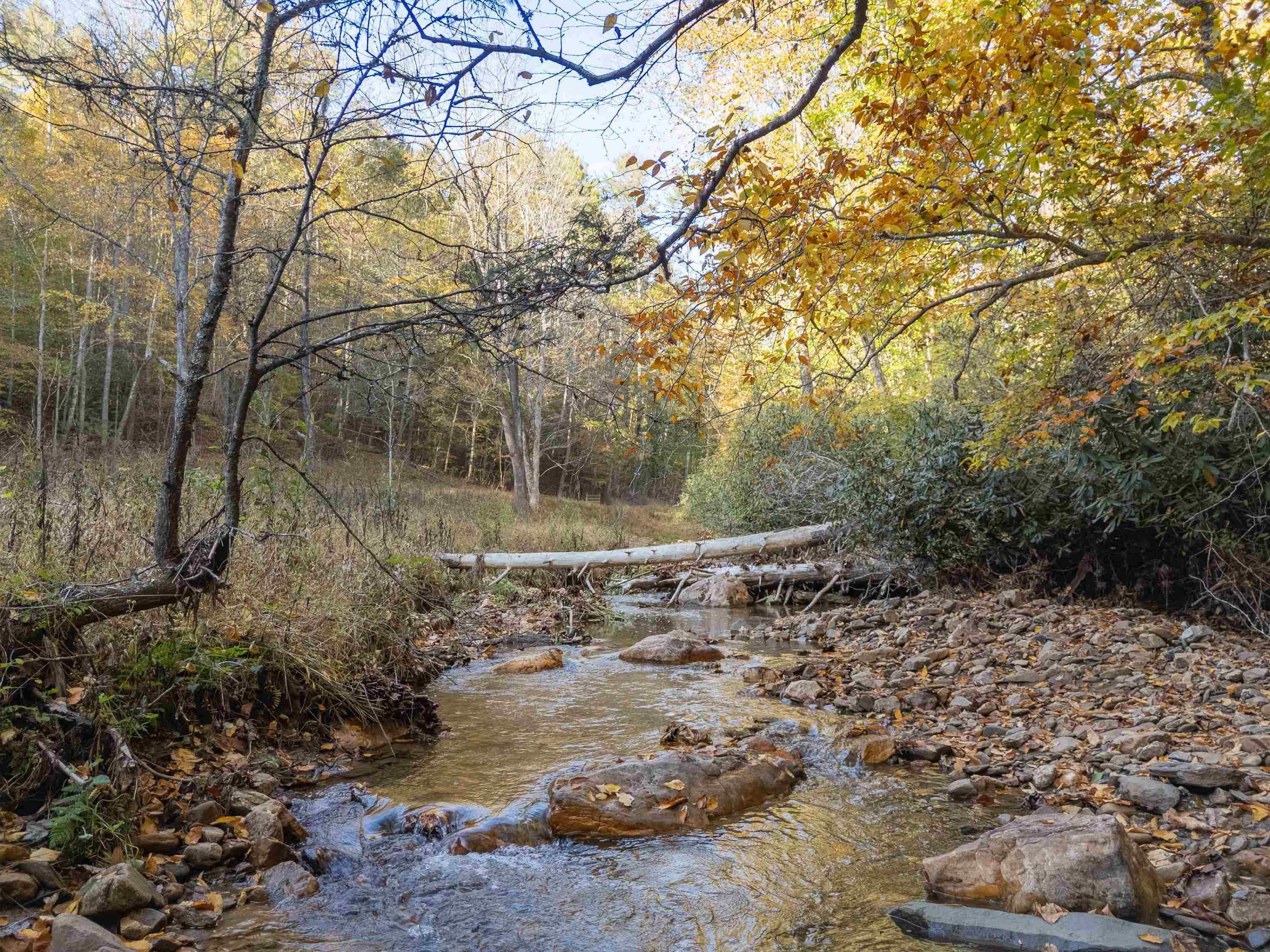 Tbd Deepwater Road Dugspur VA 24325