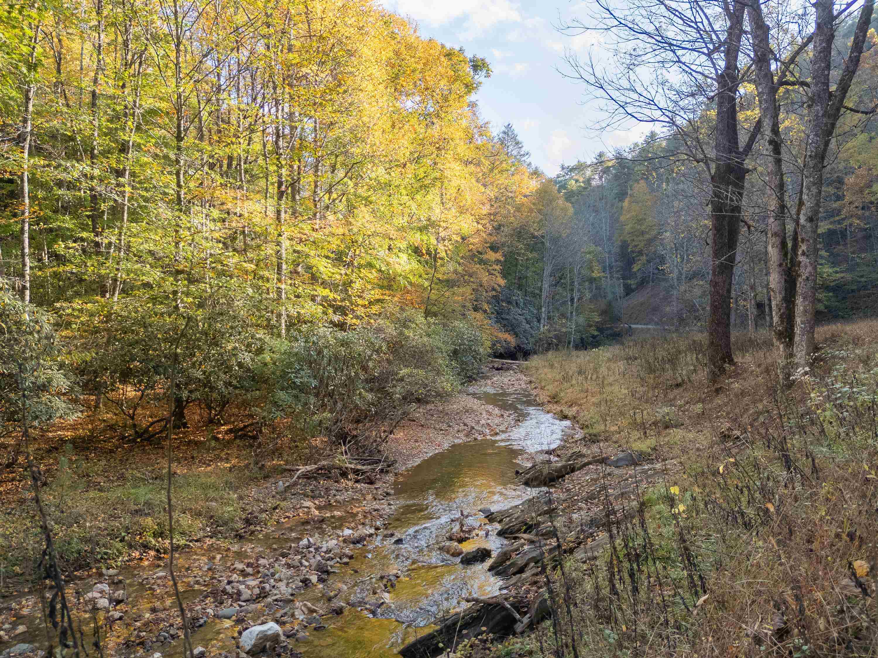 Tbd Deepwater Road Dugspur VA 24325