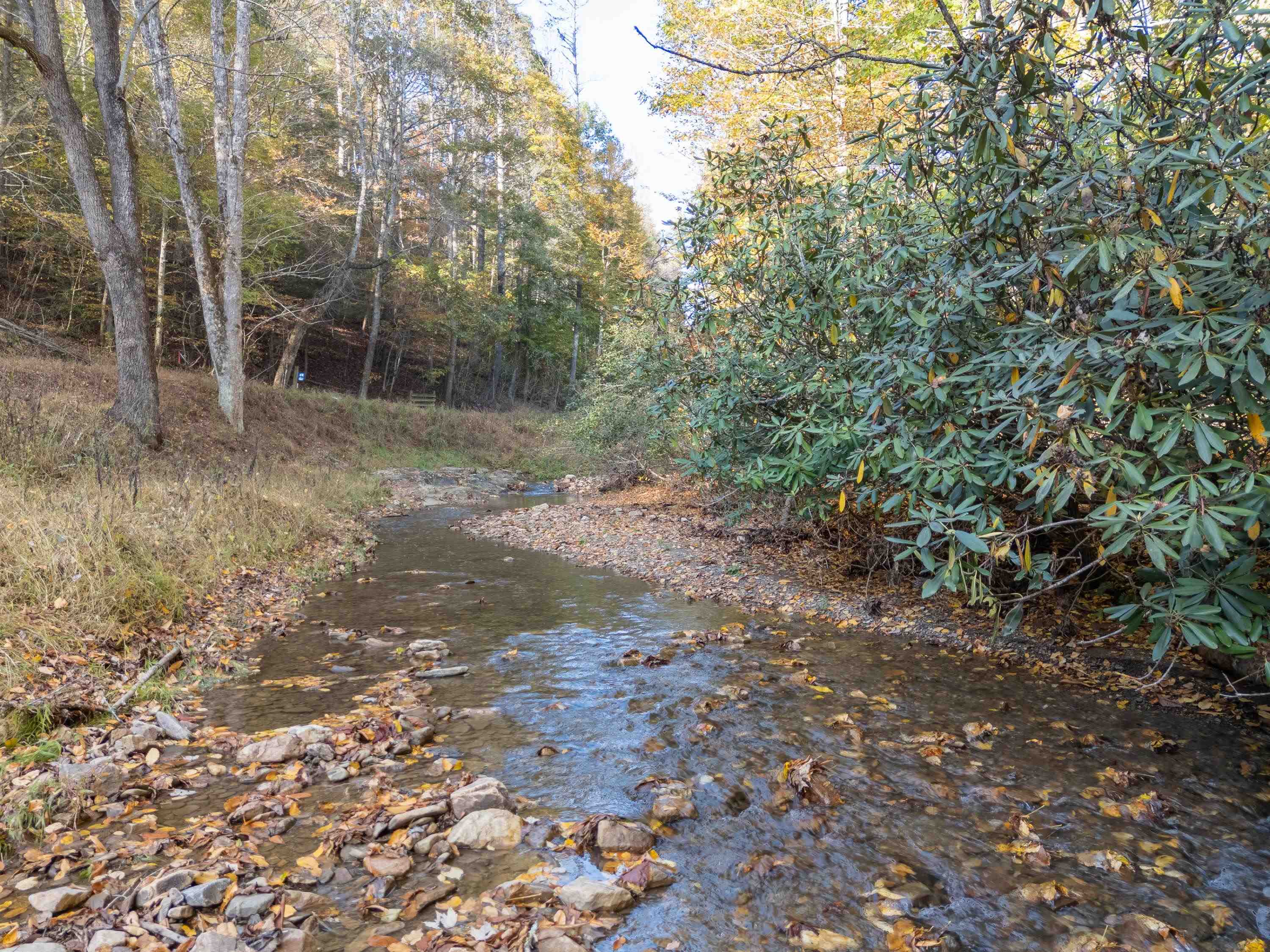 Tbd Deepwater Road Dugspur VA 24325