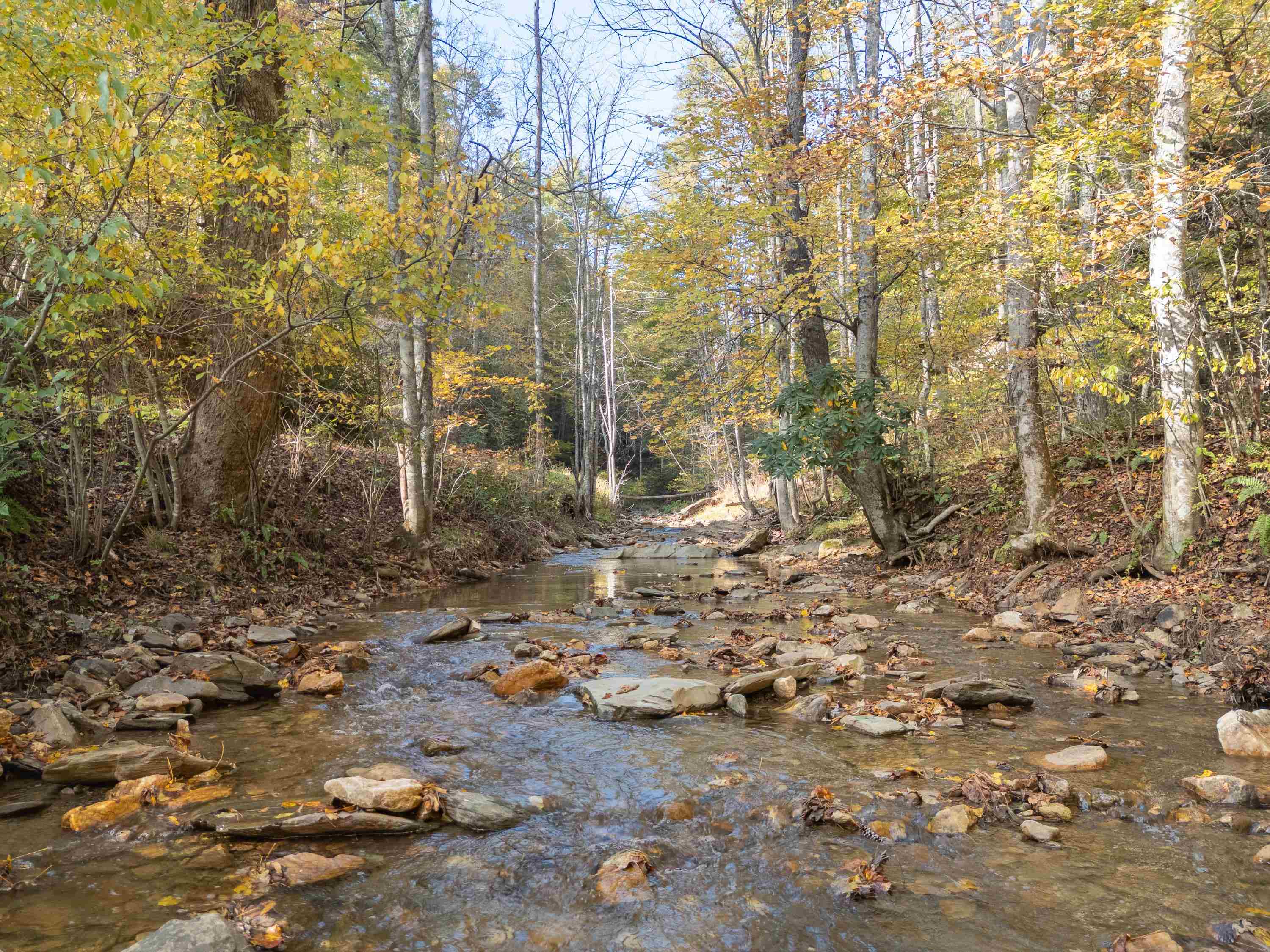 Tbd Deepwater Road Dugspur VA 24325