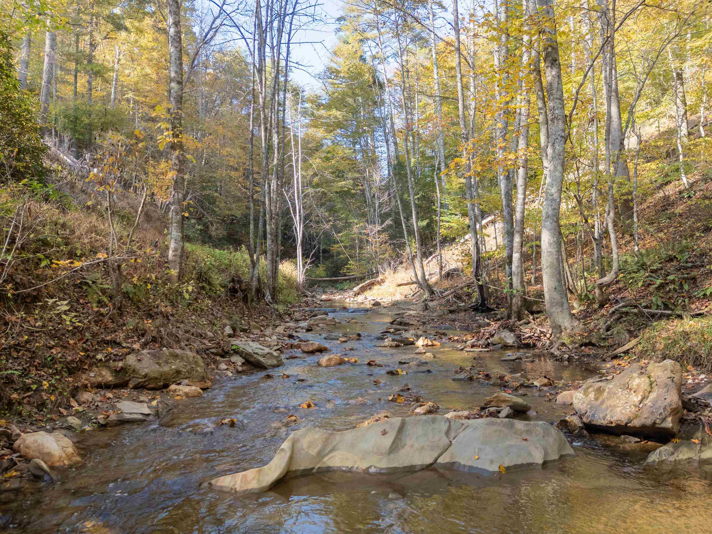 Tbd Deepwater Road Dugspur VA 24325
