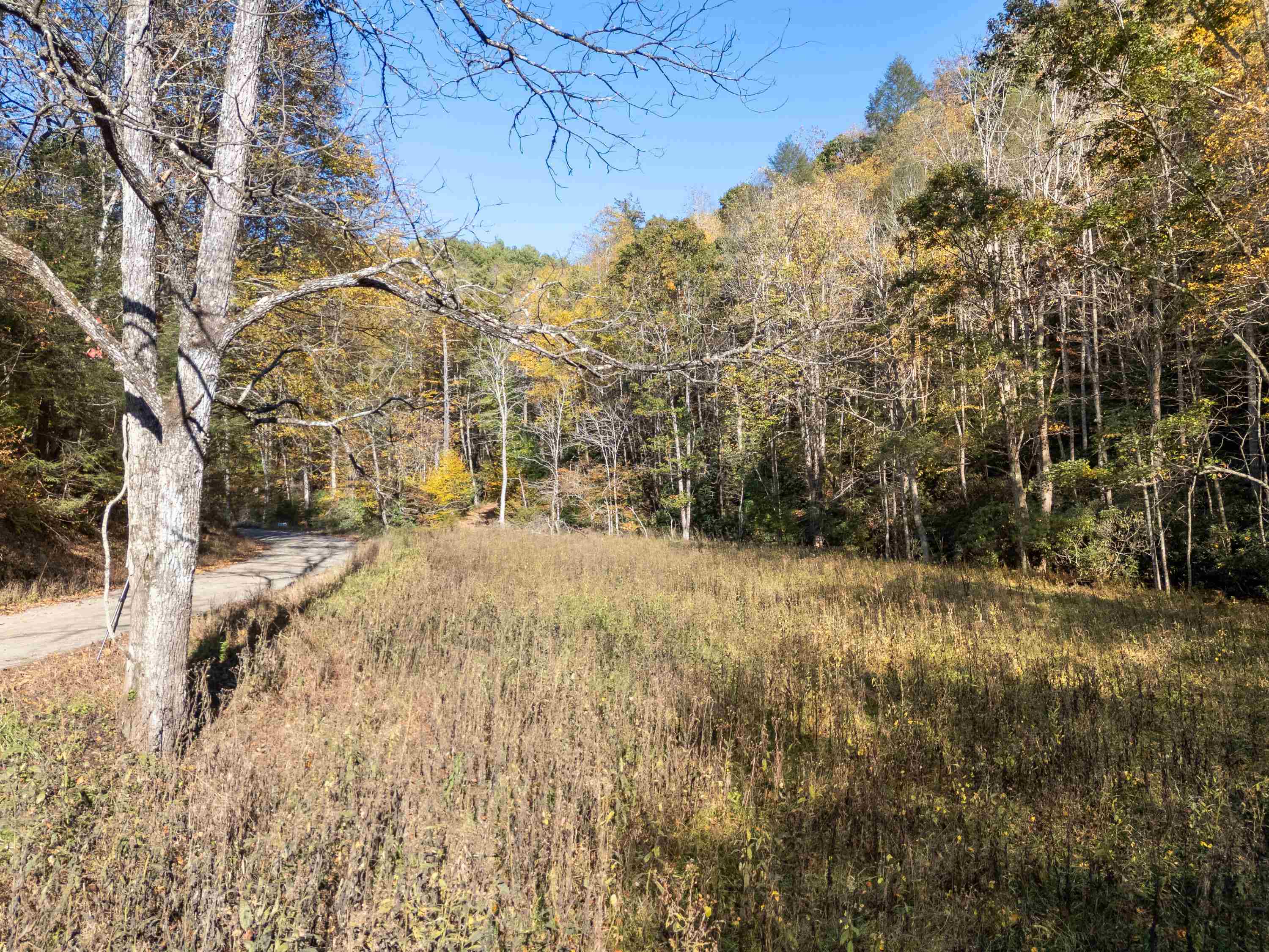 Tbd Deepwater Road Dugspur VA 24325