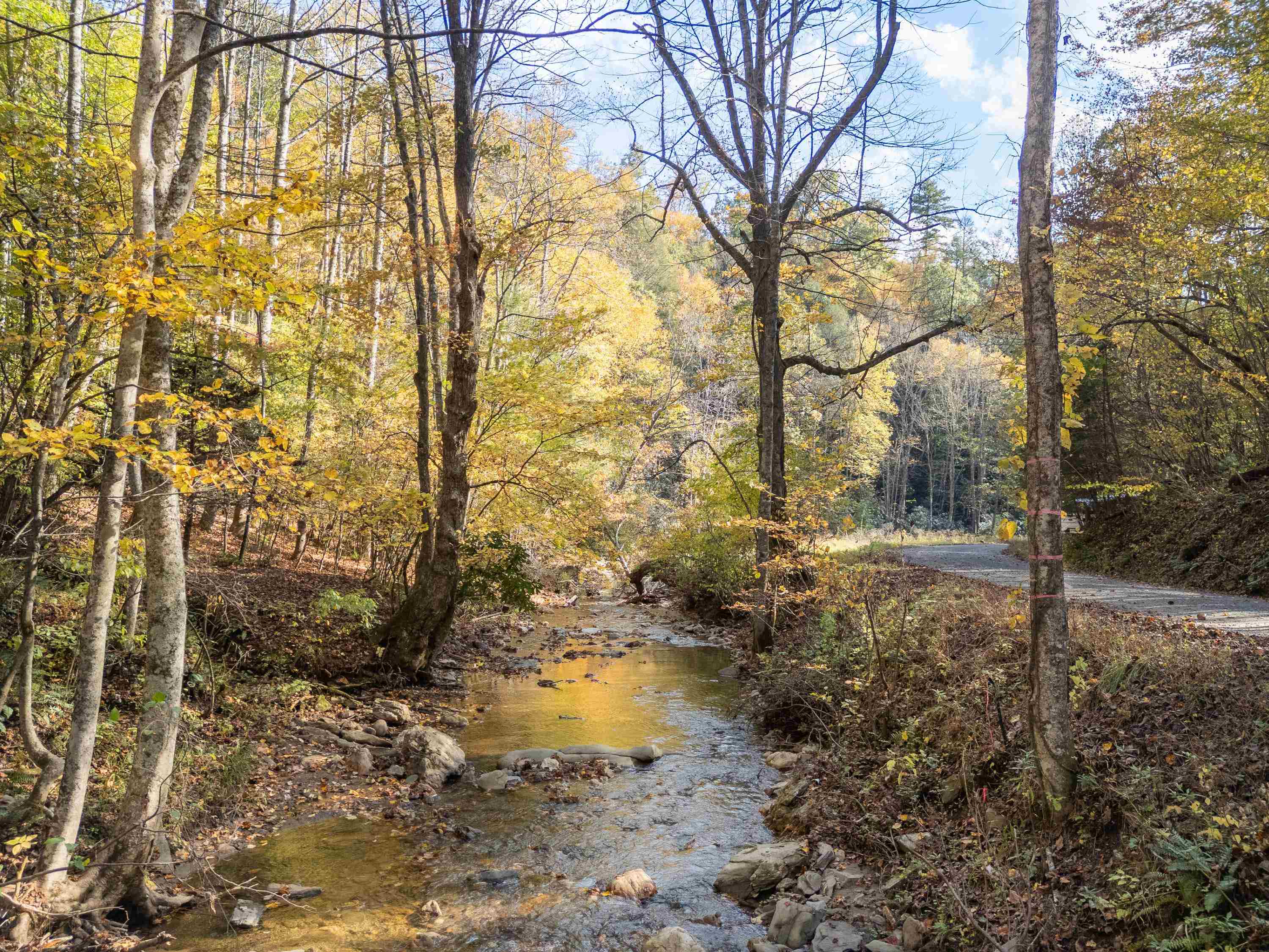 Tbd Deepwater Road Dugspur VA 24325