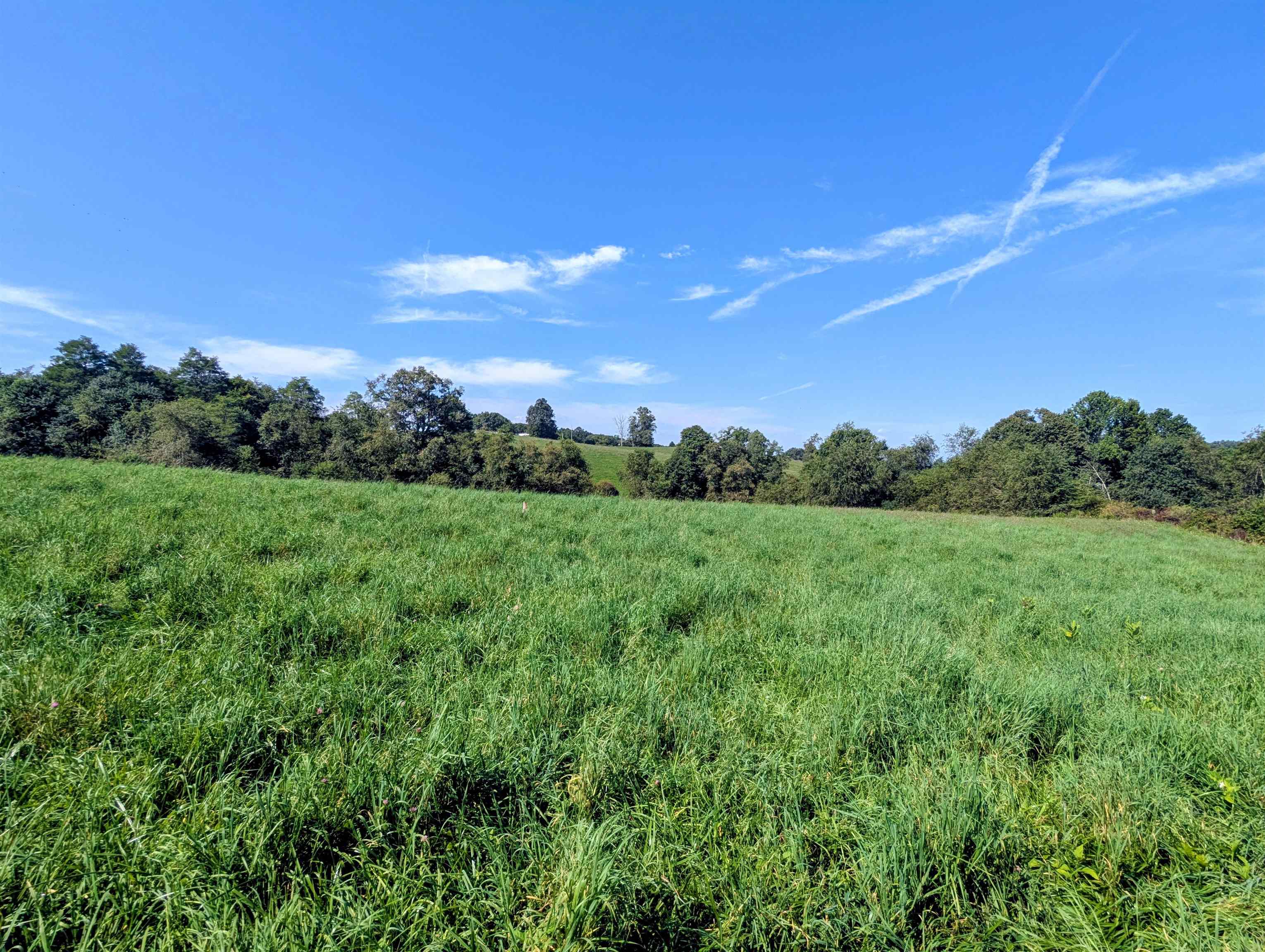 Lot 1 Floyd Highway N Floyd VA 24091