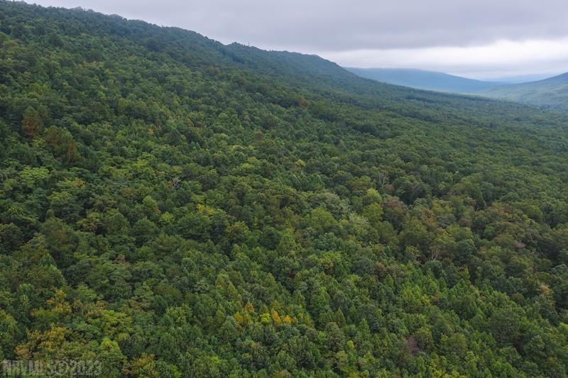 Tbd Pandapas Pond Road Blacksburg VA 24060