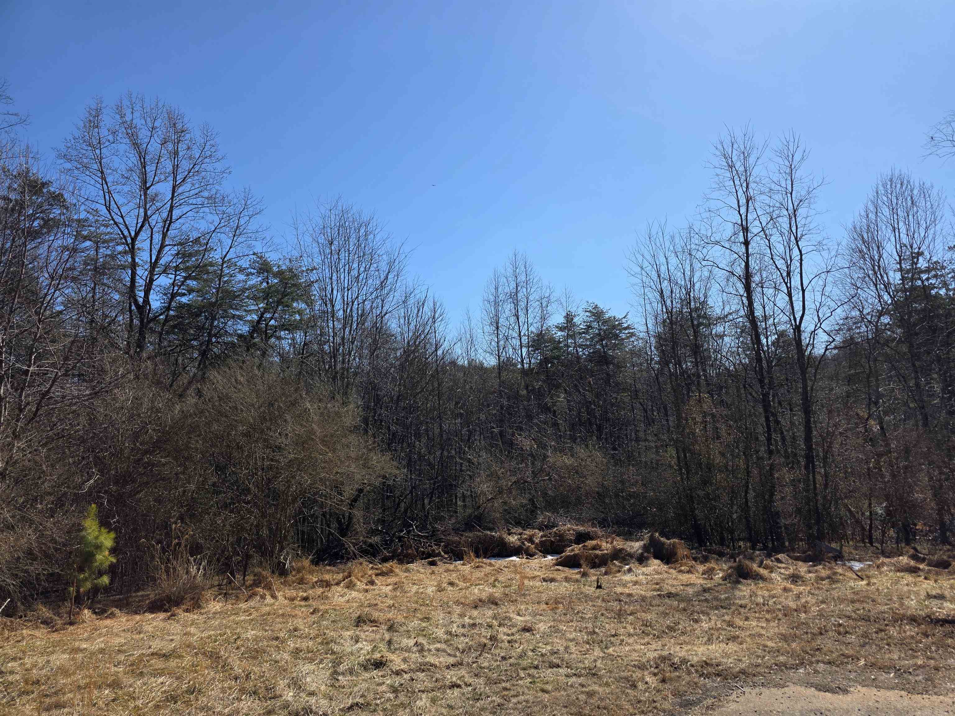 15 Spruce Pine Lane Bassett VA 24055