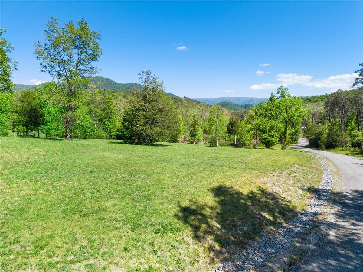 3602 Knob Forest Circle Elliston VA 24087