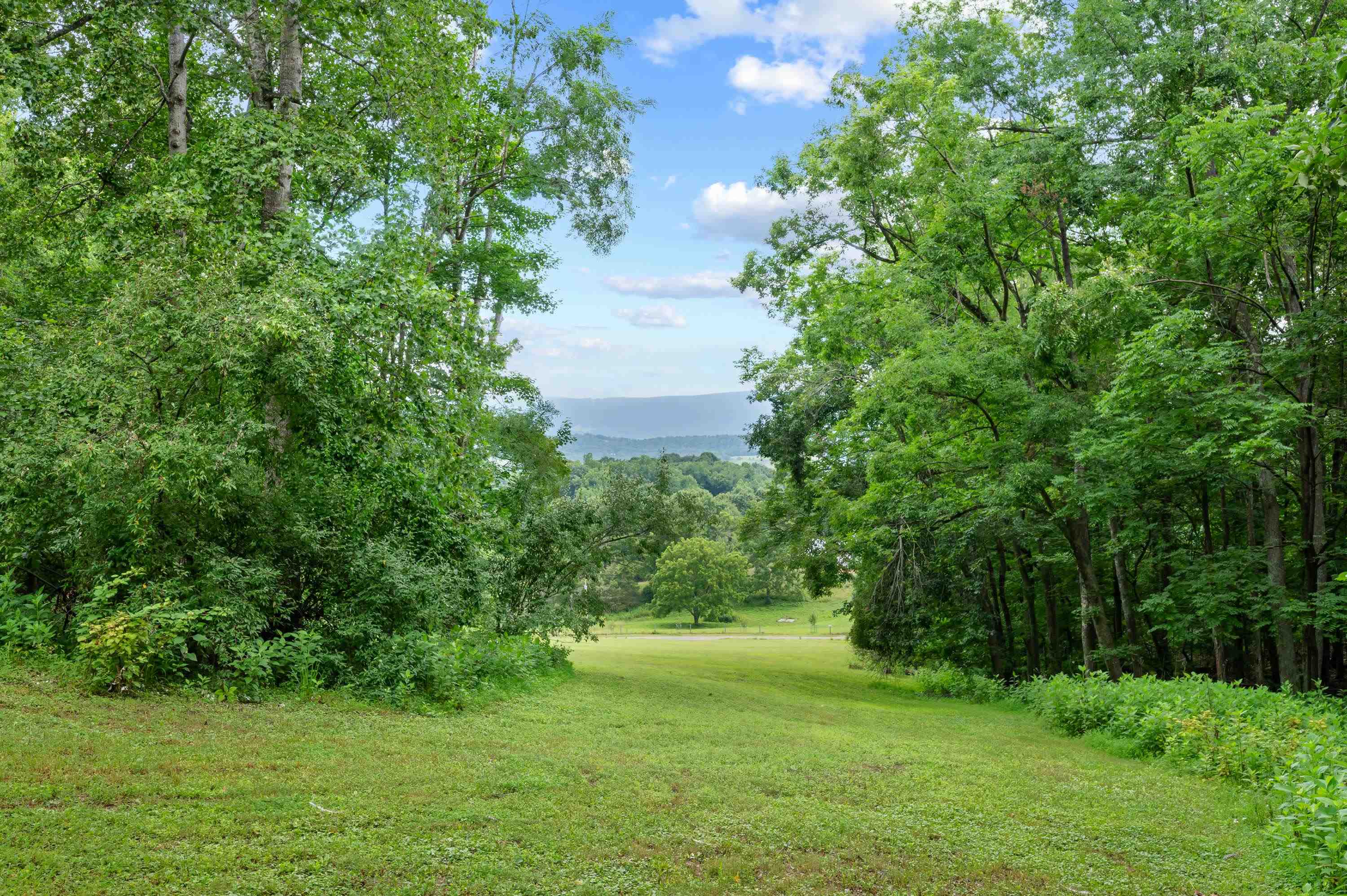 Tbd N Lot G Springdale Road N Pearisburg VA 24134