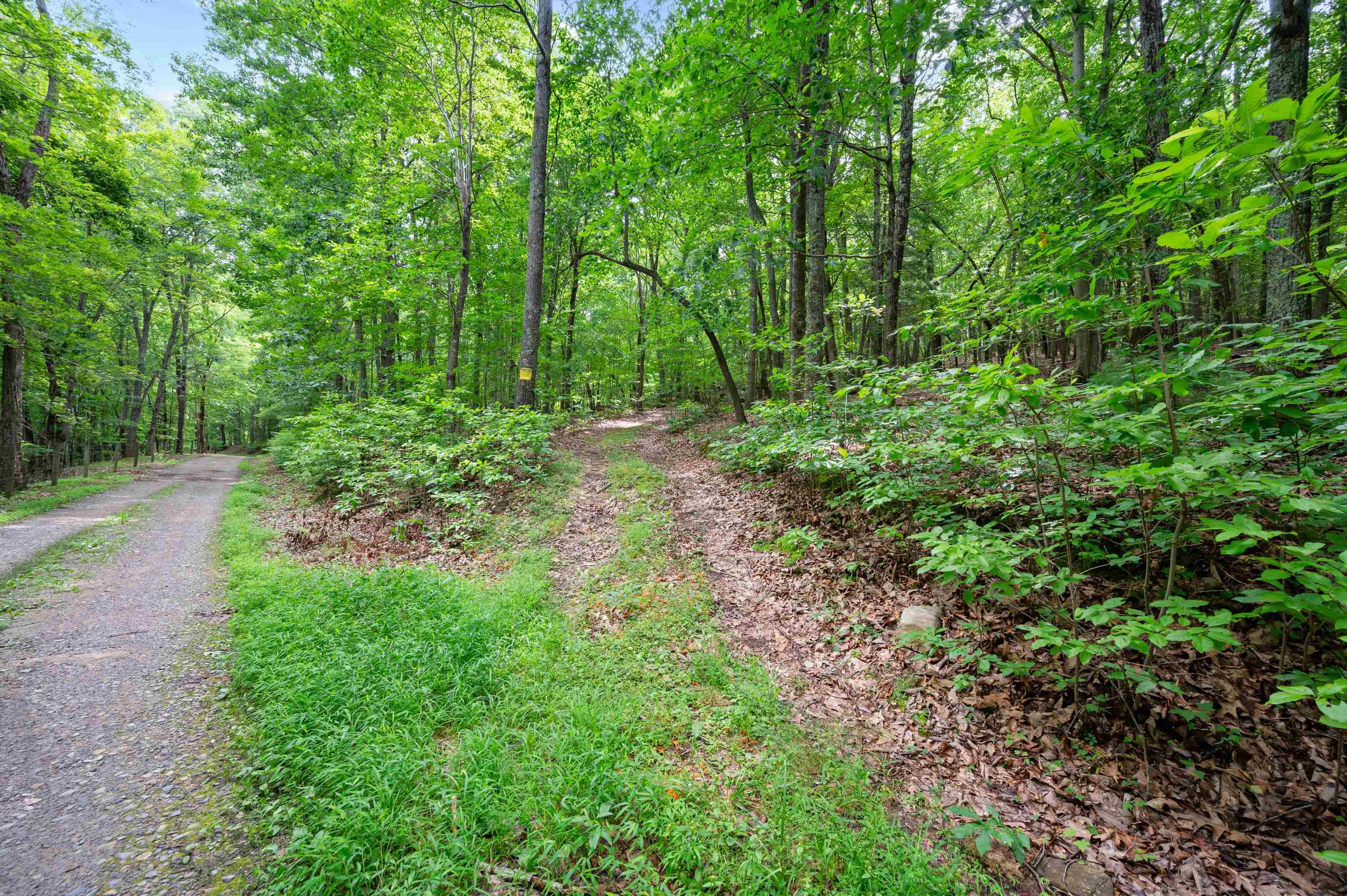 Tbd N Lot G Springdale Road N Pearisburg VA 24134