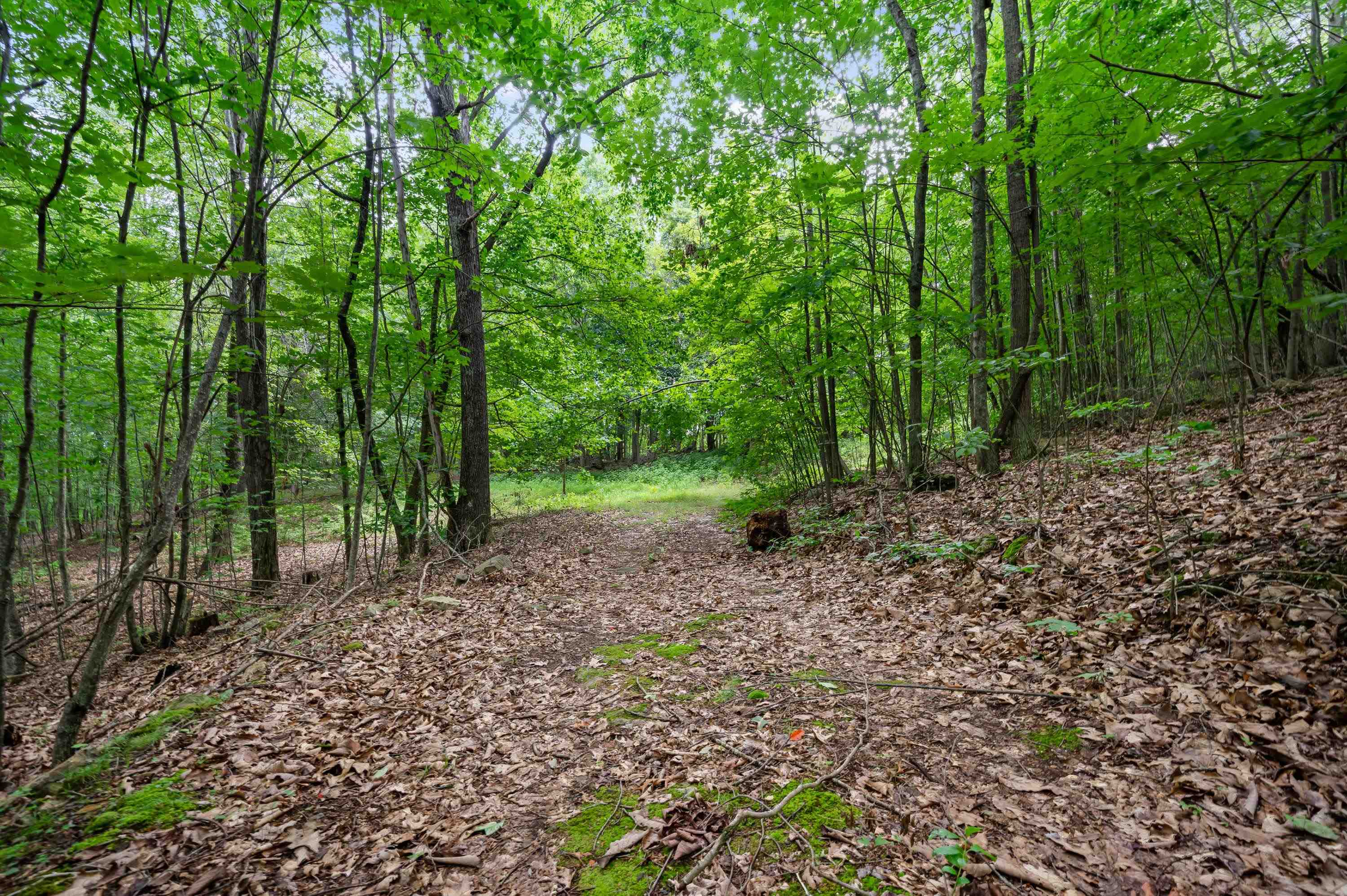 Tbd N Lot G Springdale Road N Pearisburg VA 24134