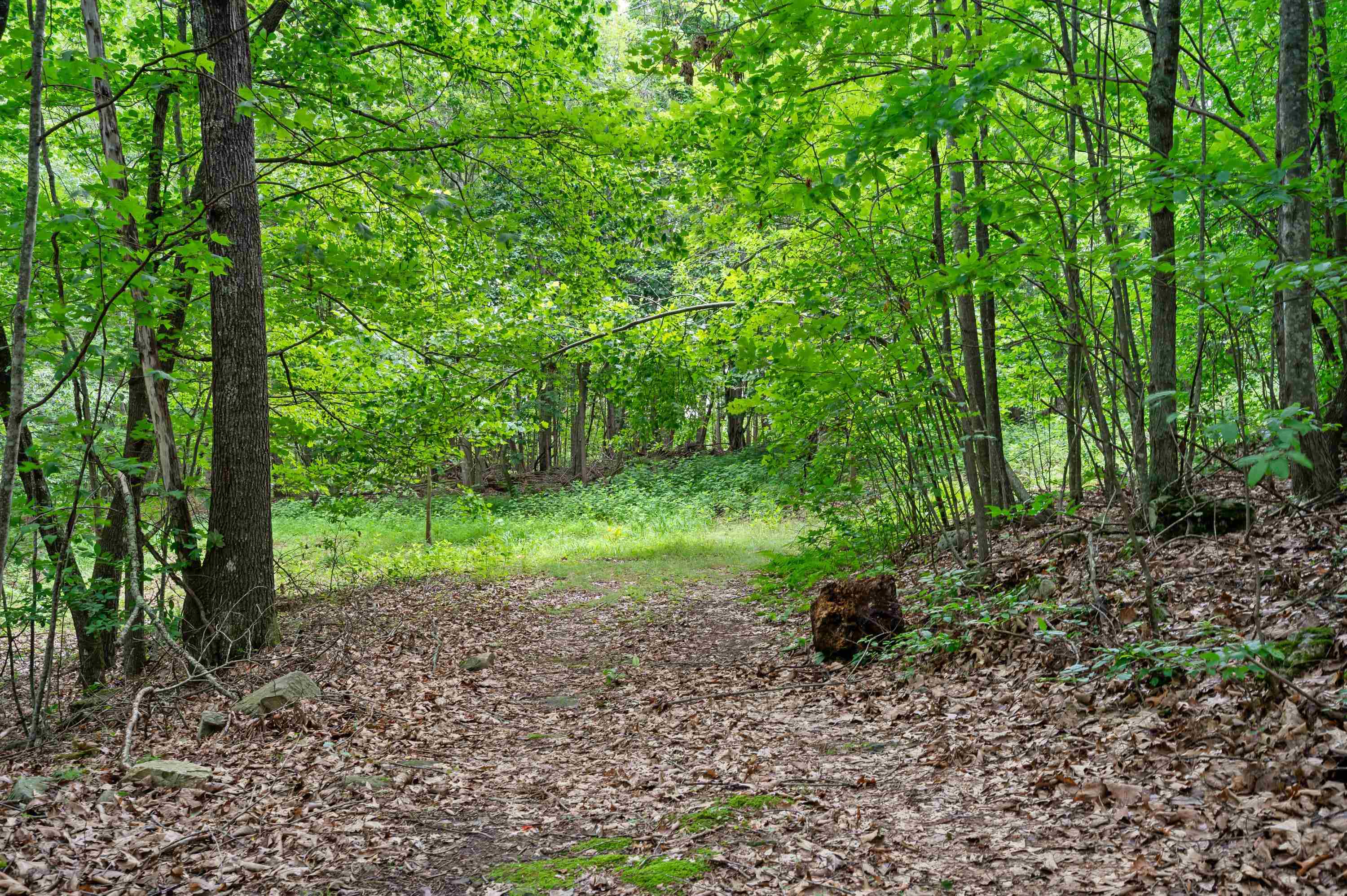 Tbd N Lot G Springdale Road N Pearisburg VA 24134