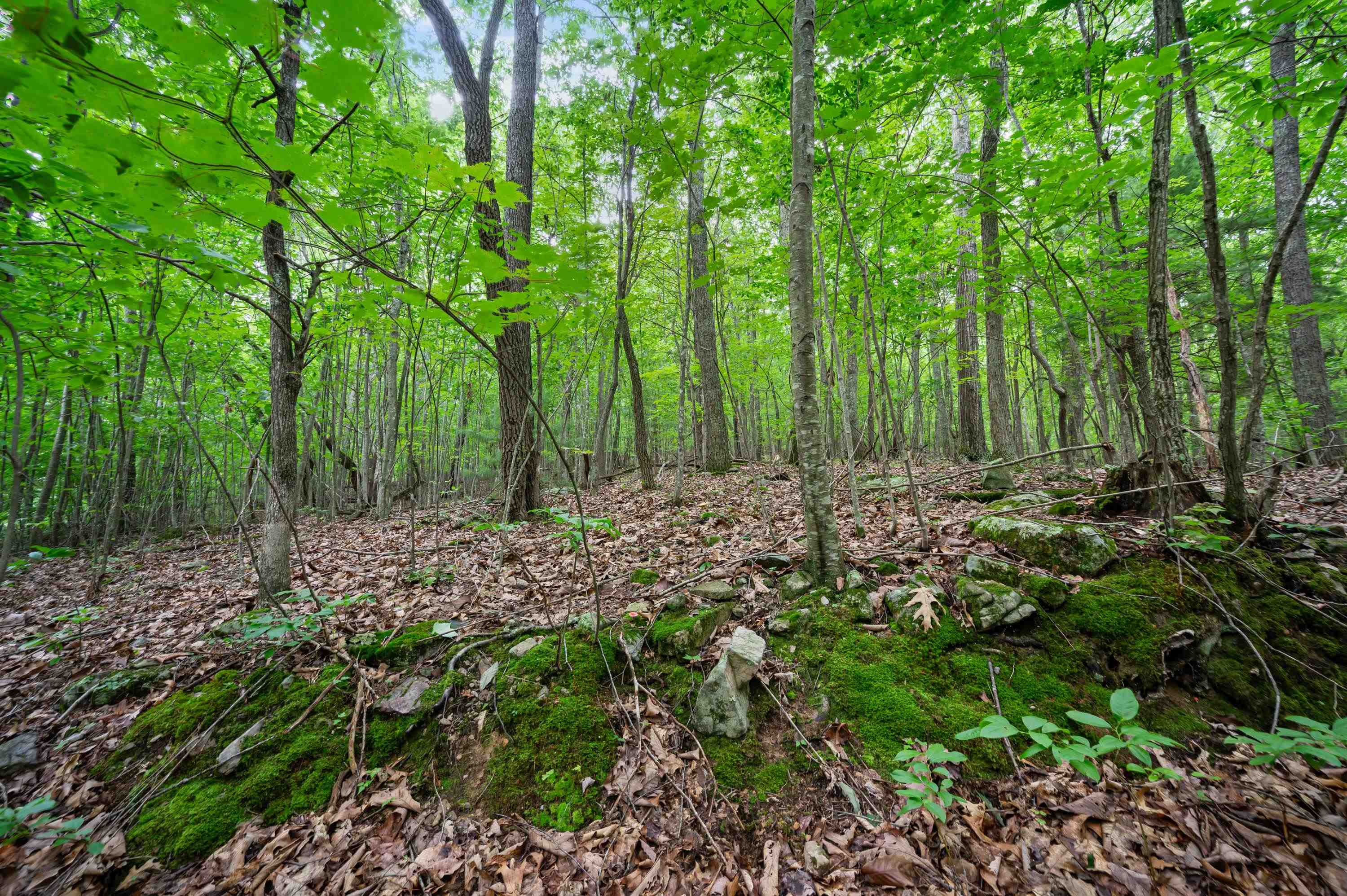 Tbd N Lot G Springdale Road N Pearisburg VA 24134