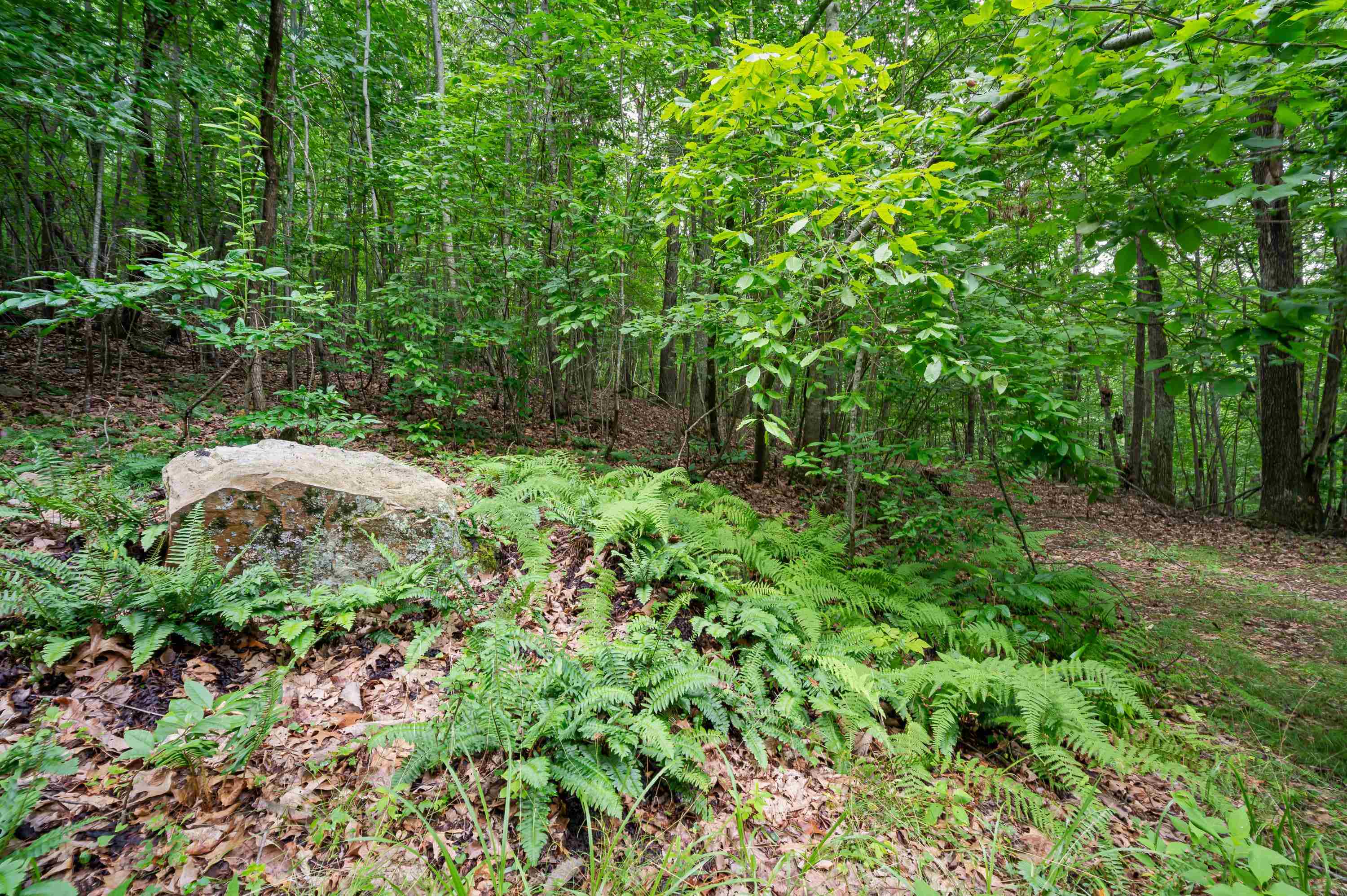 Tbd N Lot G Springdale Road N Pearisburg VA 24134