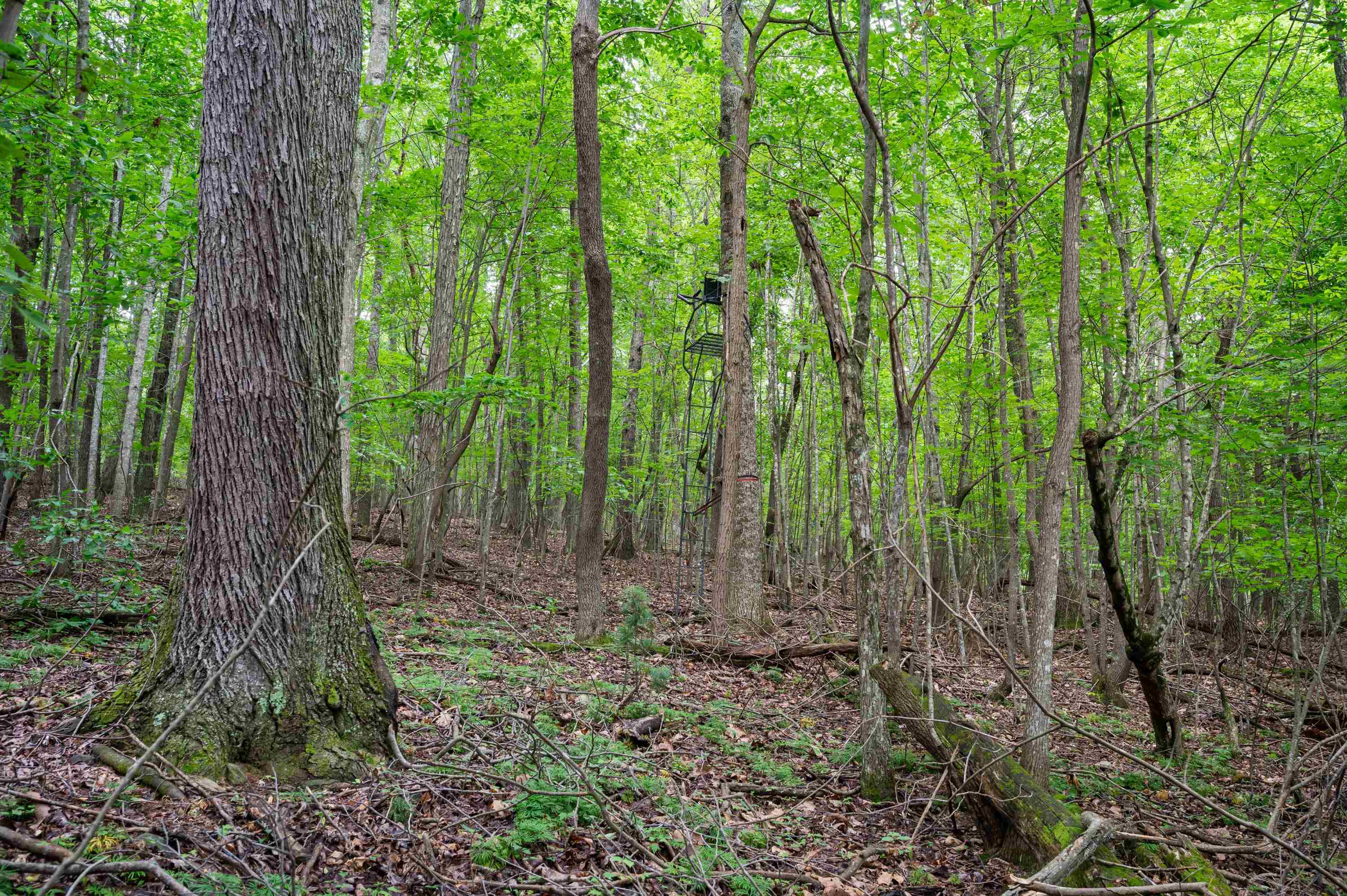 Tbd N Lot G Springdale Road N Pearisburg VA 24134