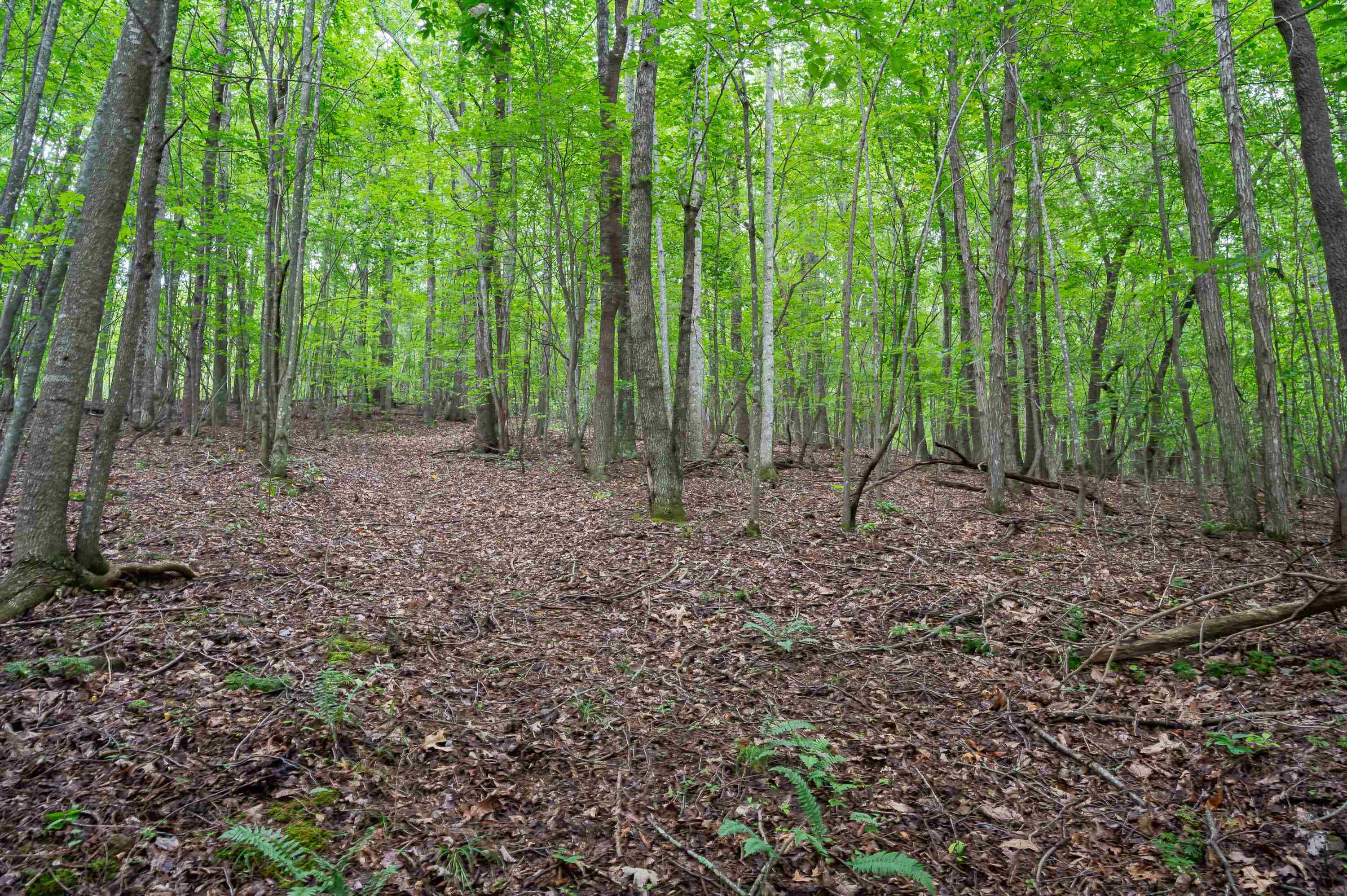 Tbd N Lot G Springdale Road N Pearisburg VA 24134